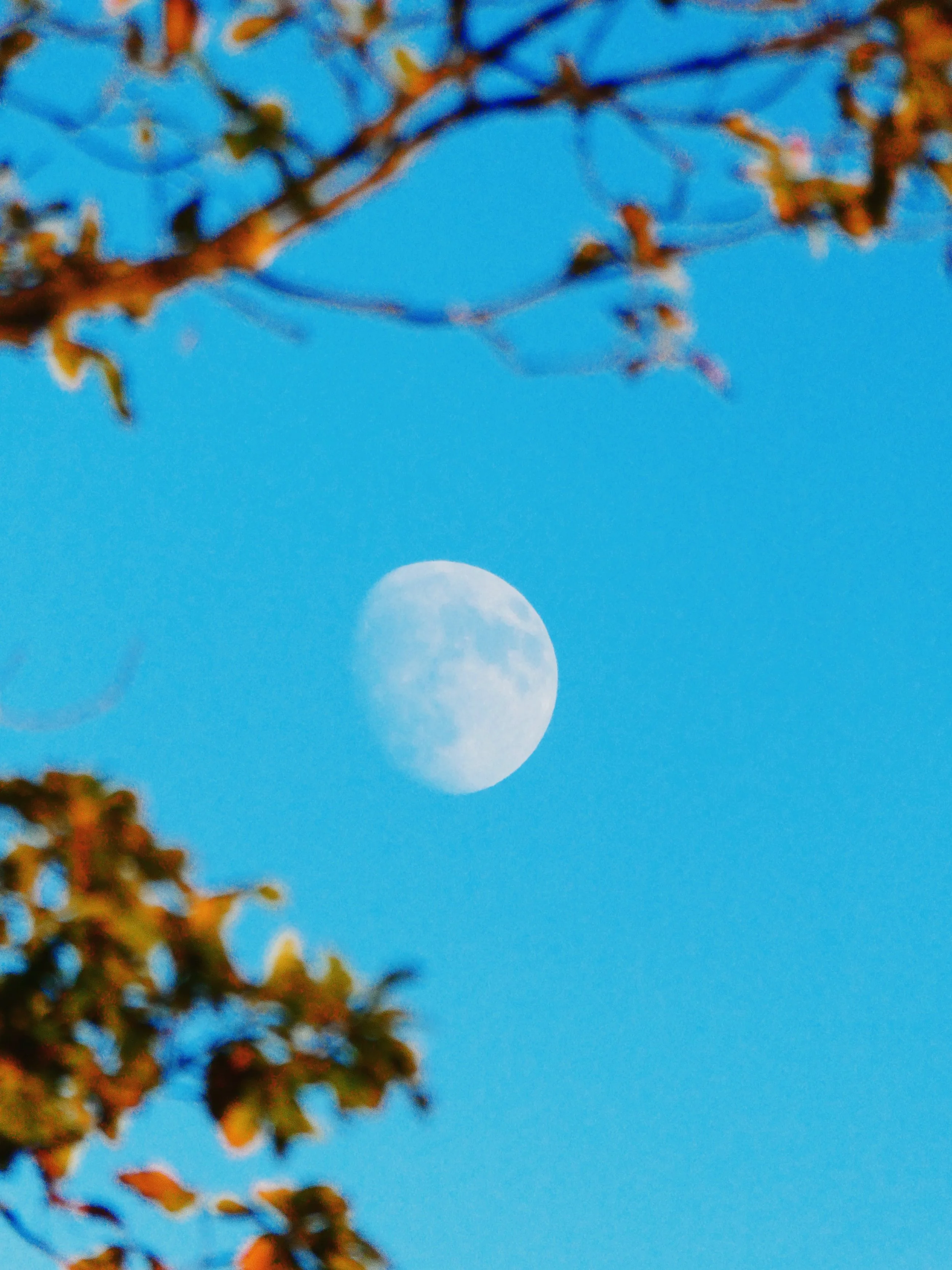 P1001225_VSCO.JPG