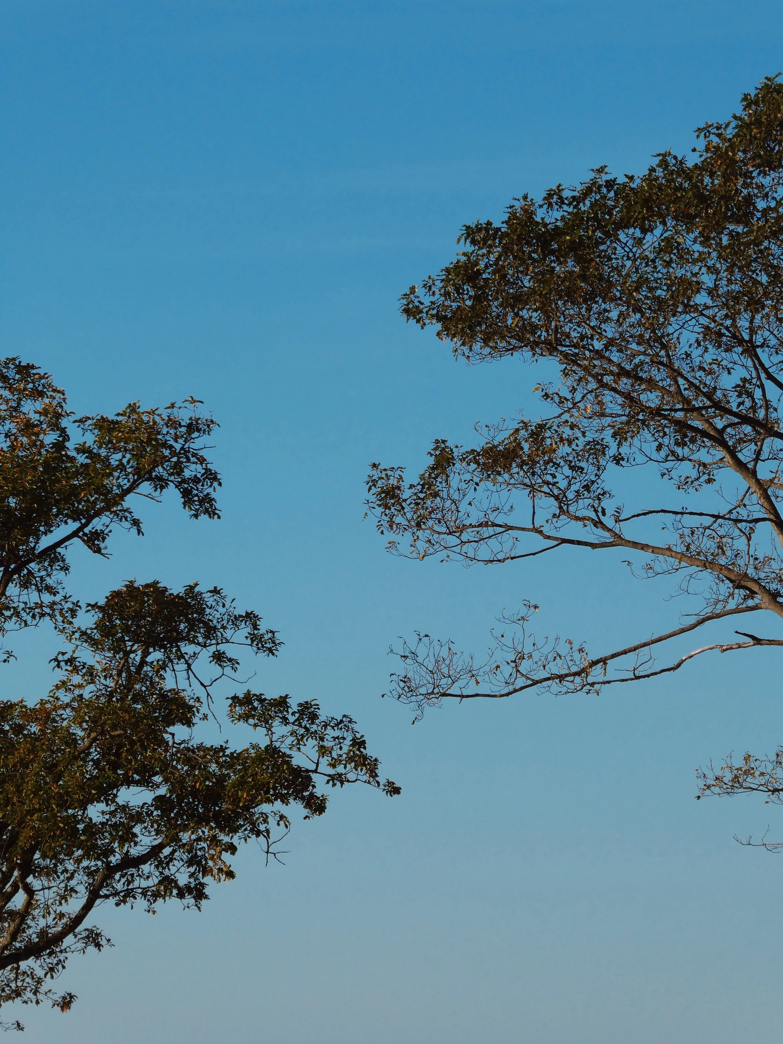 P1001281_VSCO.JPG