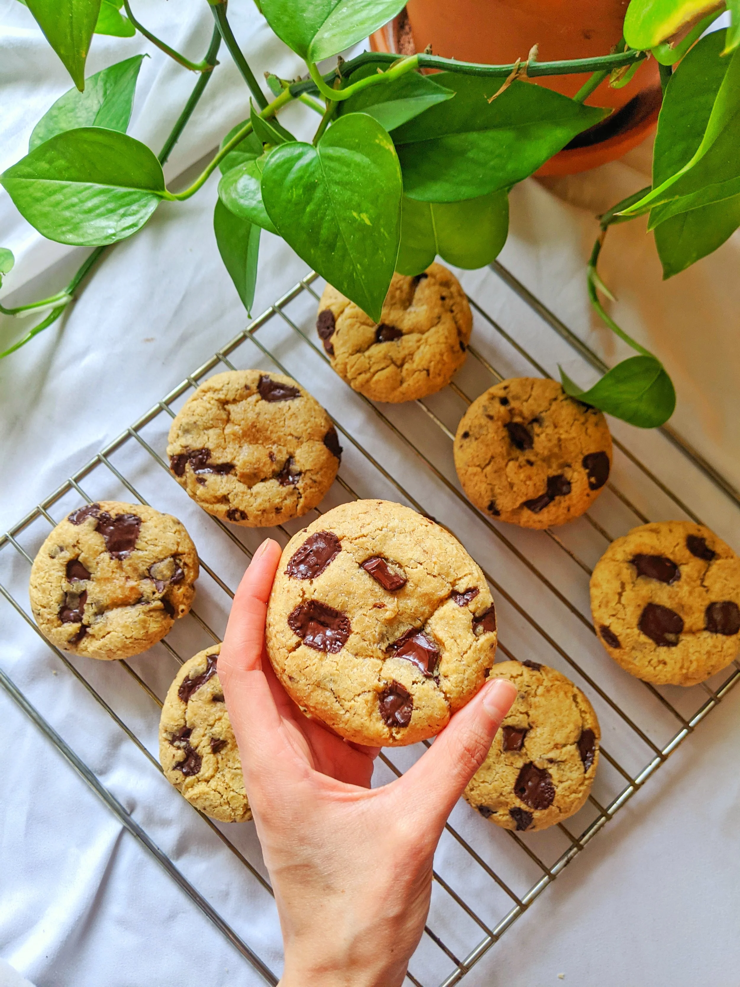 Brown Butter Gluten Free Chocolate Chip Cookies 