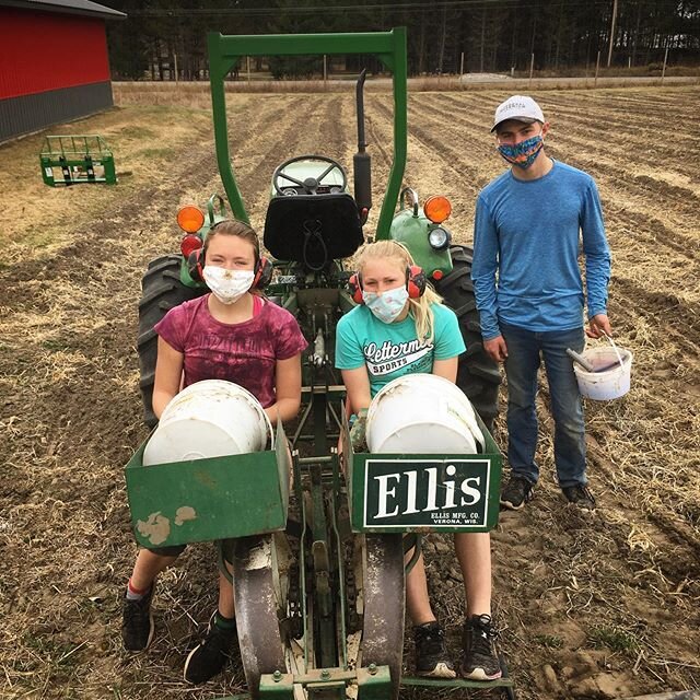 Work-from-home doesn&rsquo;t really apply to the growing season in Northern MN unfortunately.. the strawberries MUST be planted! Luckily our employees are prepared, and also related (aka #alonetogether already)! 🌱🍓 .
At our patch, planting requires