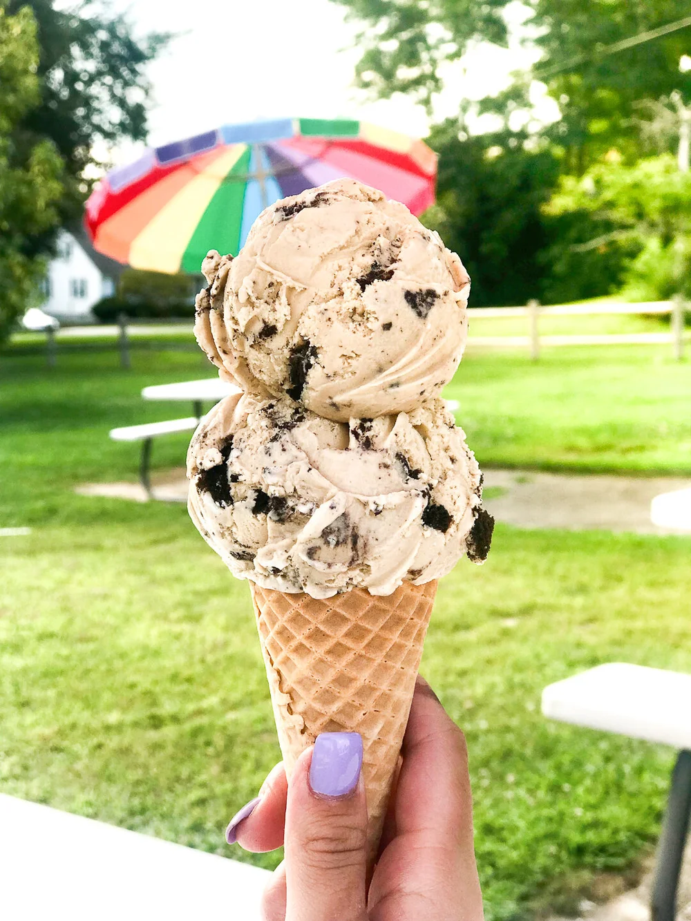 Eskimo King Where Ice Cream Rules!