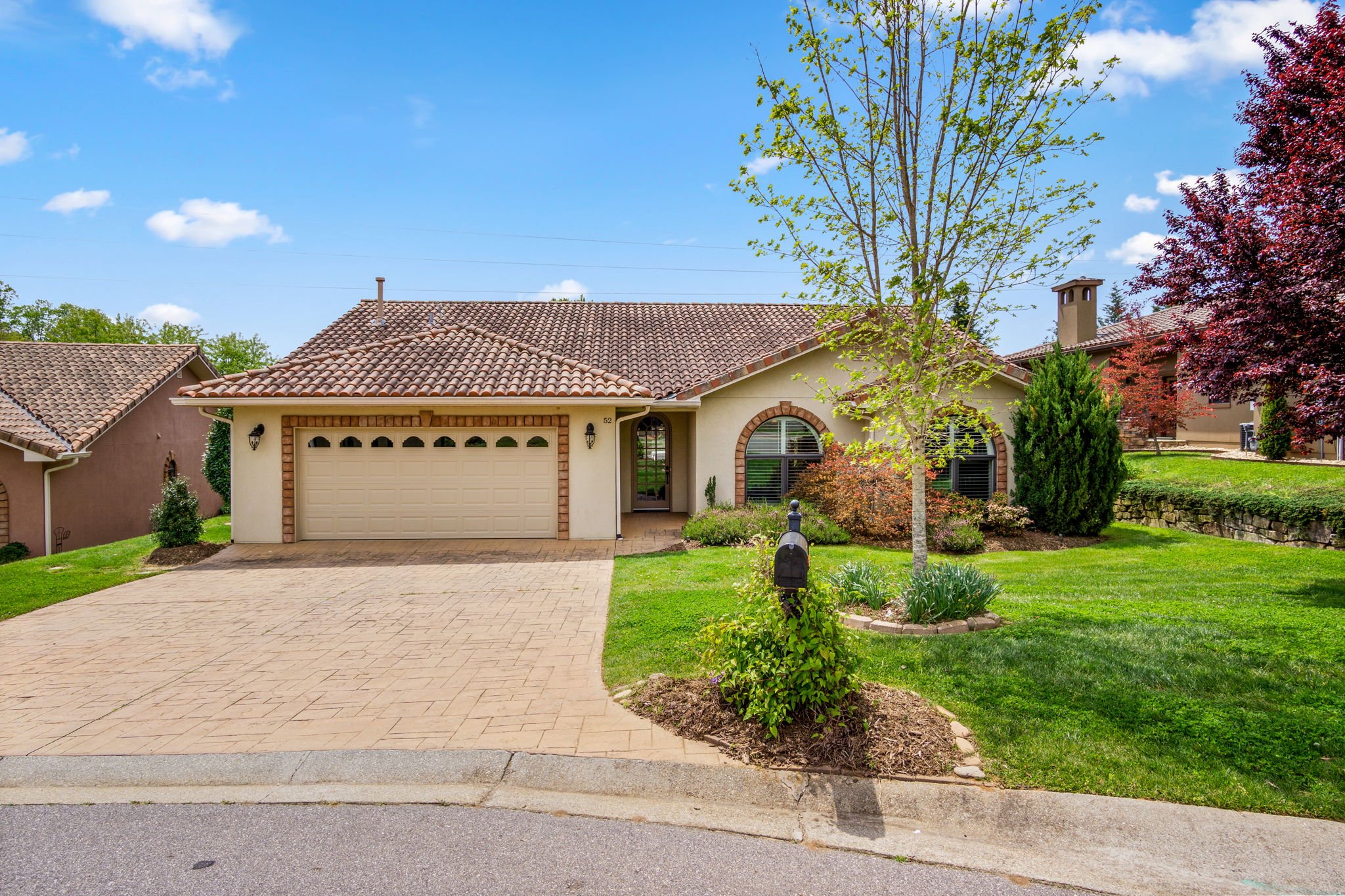 web_DSC01677 (1).jpg