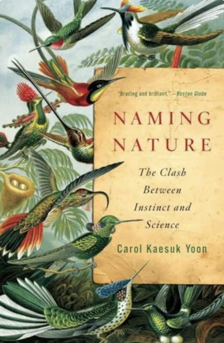 Screenshot 2026-02-21 at 3.17.11 PM.png