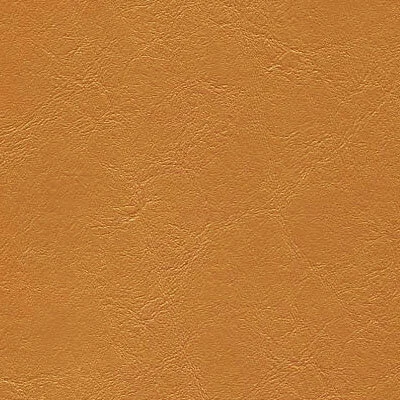 Gold Rush jet-011.jpg