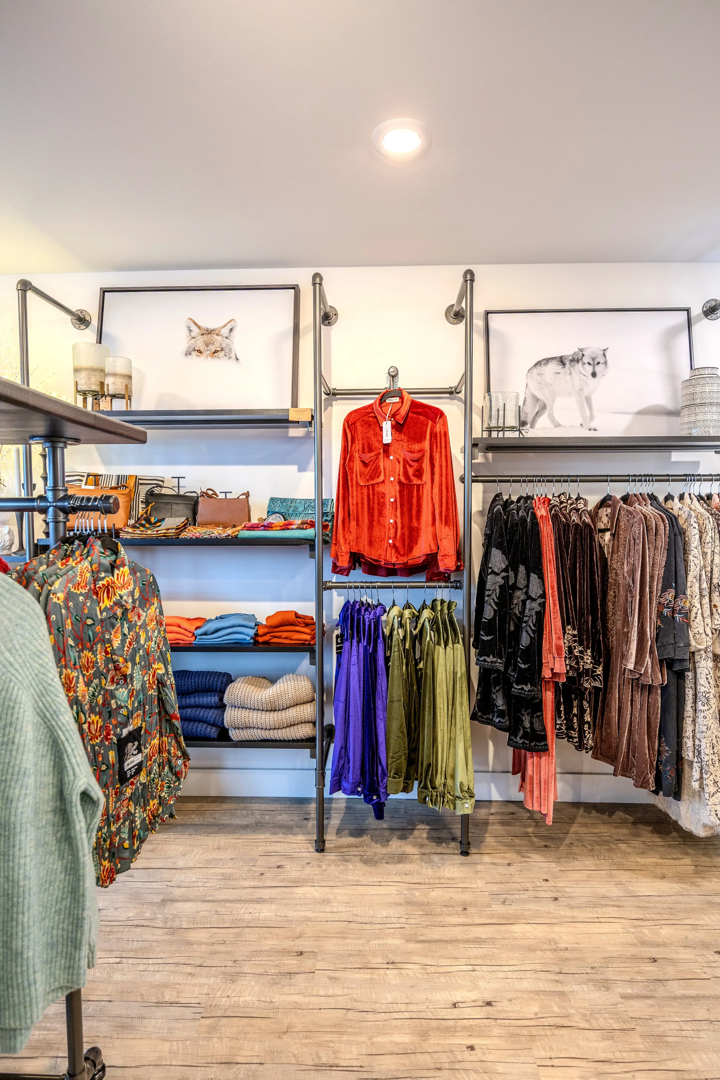 Clothing store display with rack of colorful dresses and folded sweaters, framed animal photos on wall, and a bright ceiling light.