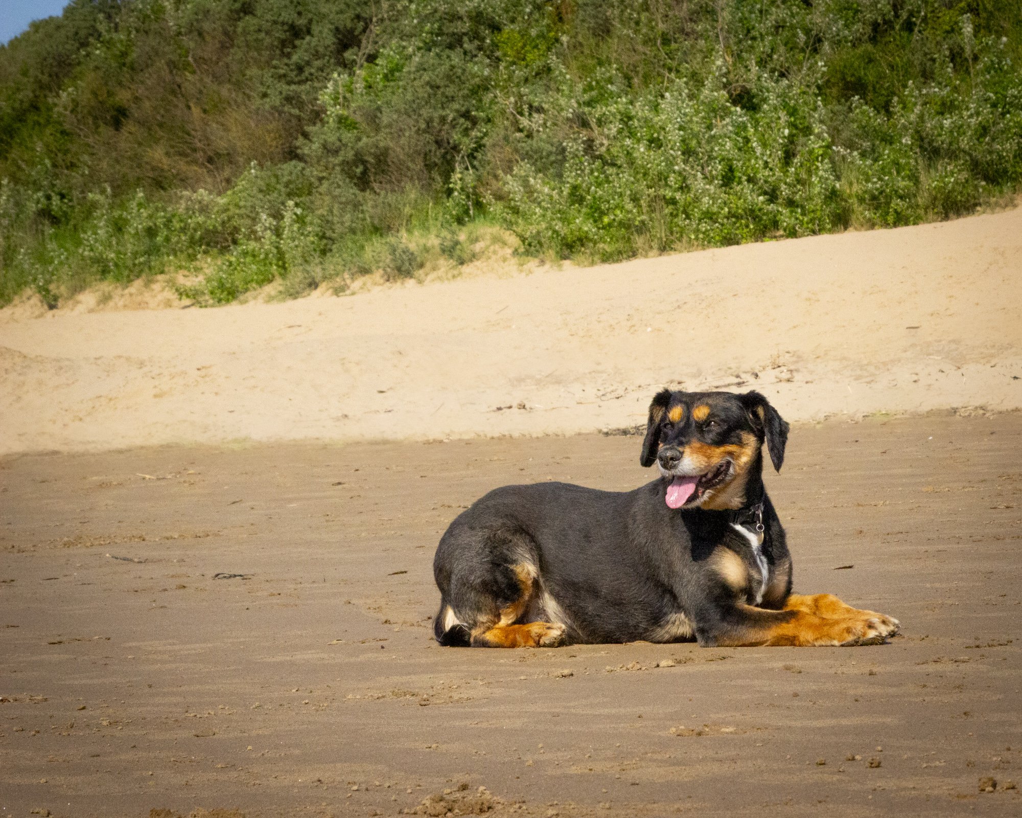 Luca-8.jpg