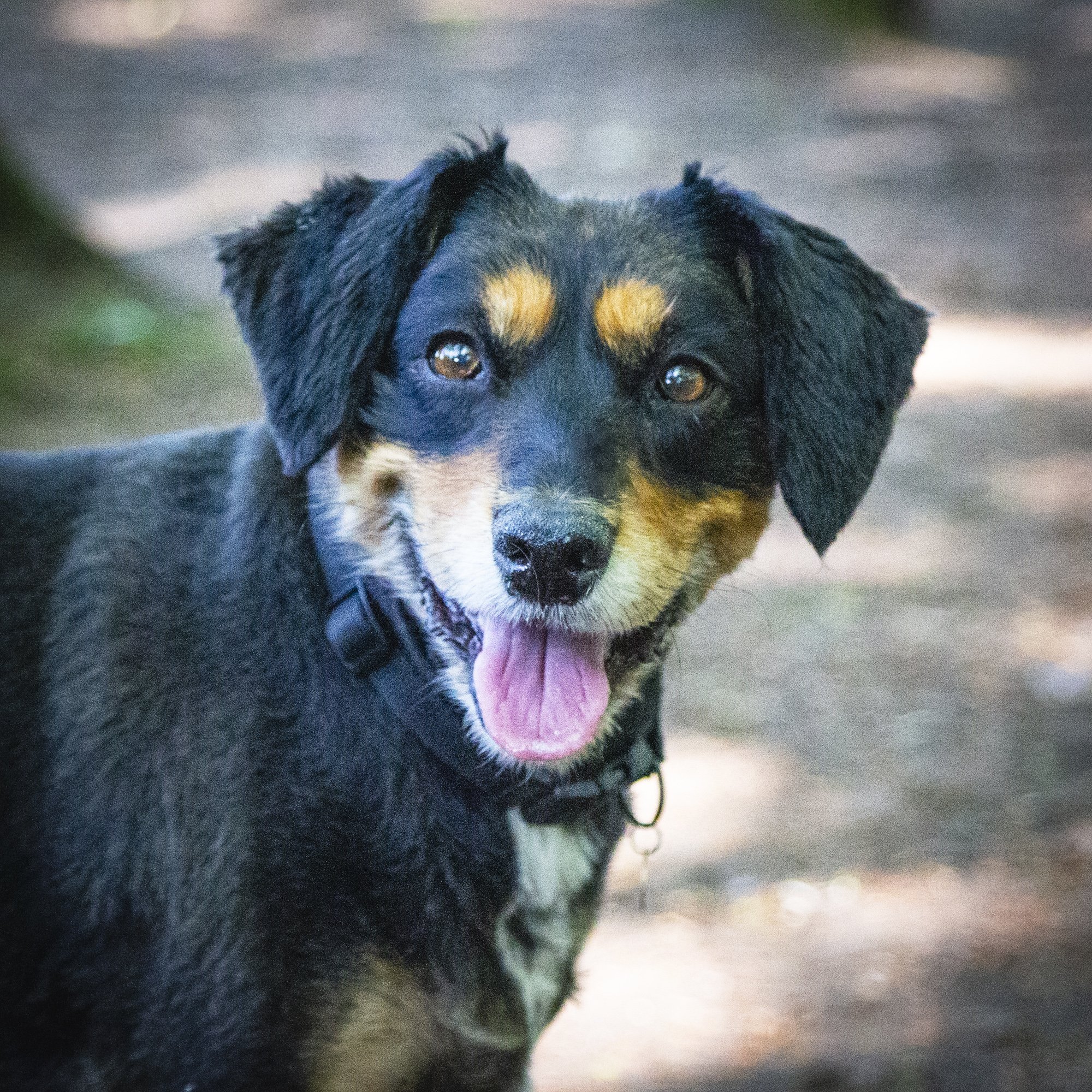 Luca-6.jpg