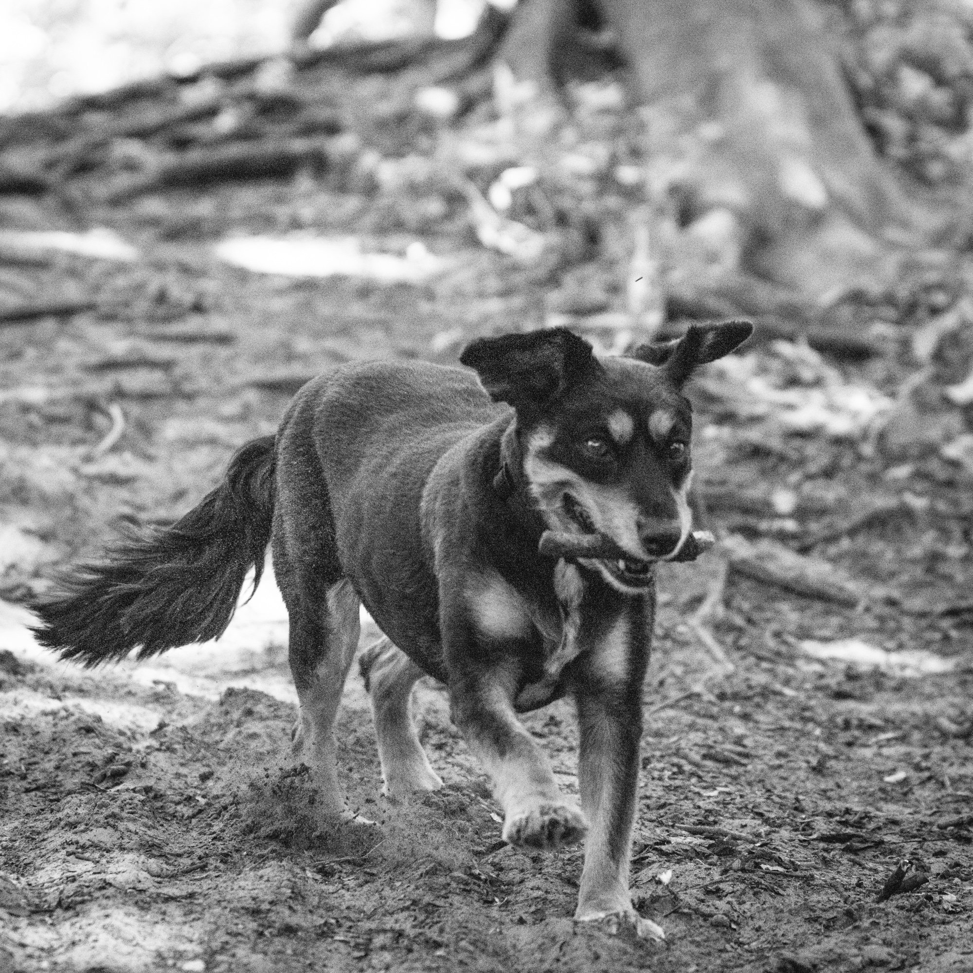 Luca-5.jpg