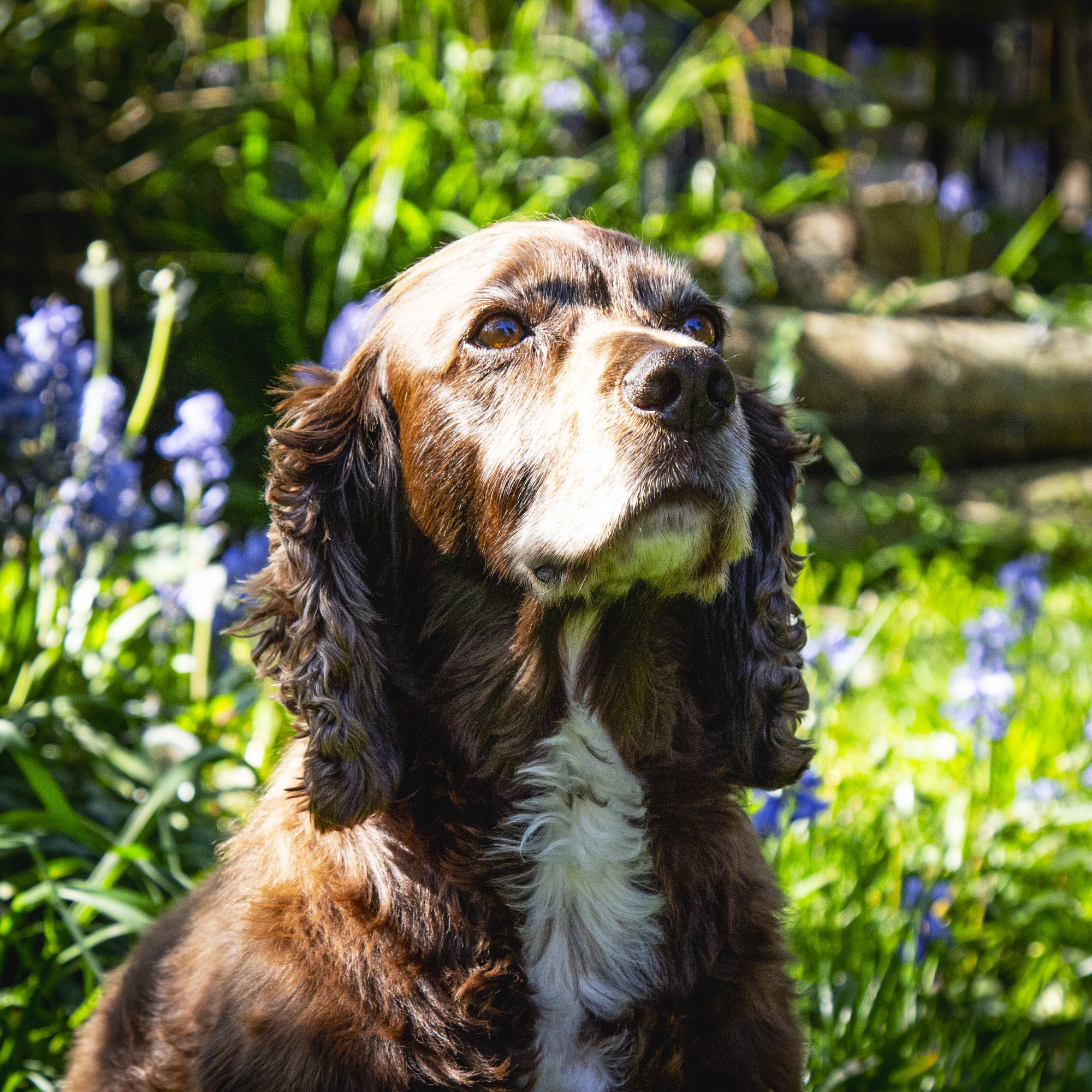 Luca-1.jpg