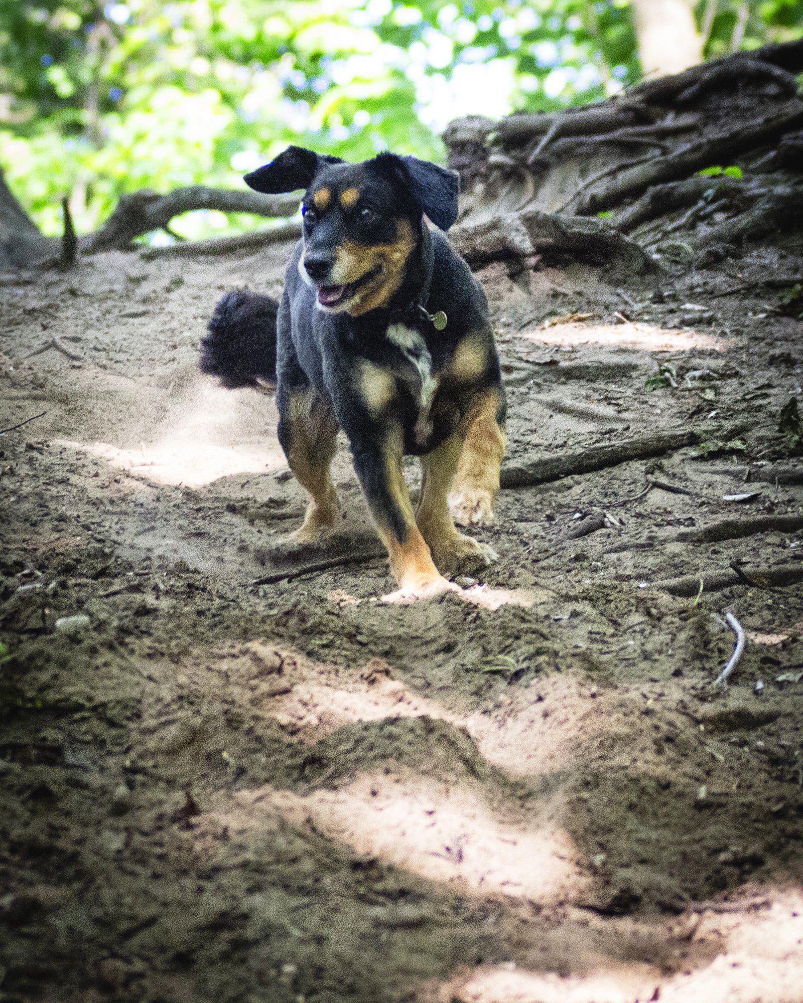 Luca-4.jpg