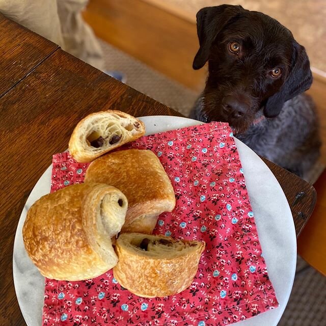 Chocolate Croissants. Really?!? #crustalmighty #purebread #sourdough #bread #wpgofinstagram 
Orders for next week open on Monday at crustalmightypdx.com