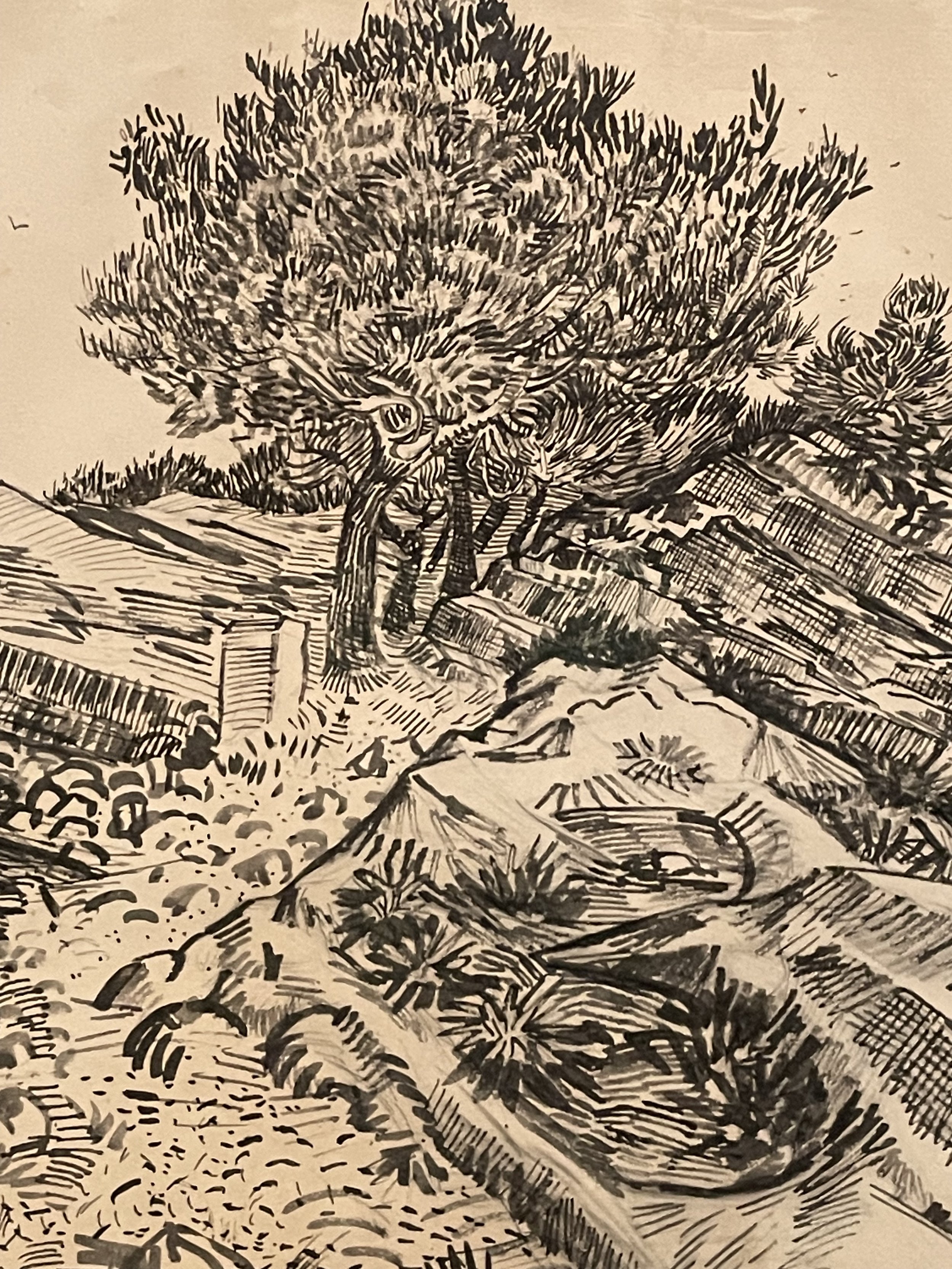 Detail of The Rock of Montmajour with Pine Trees, 1888