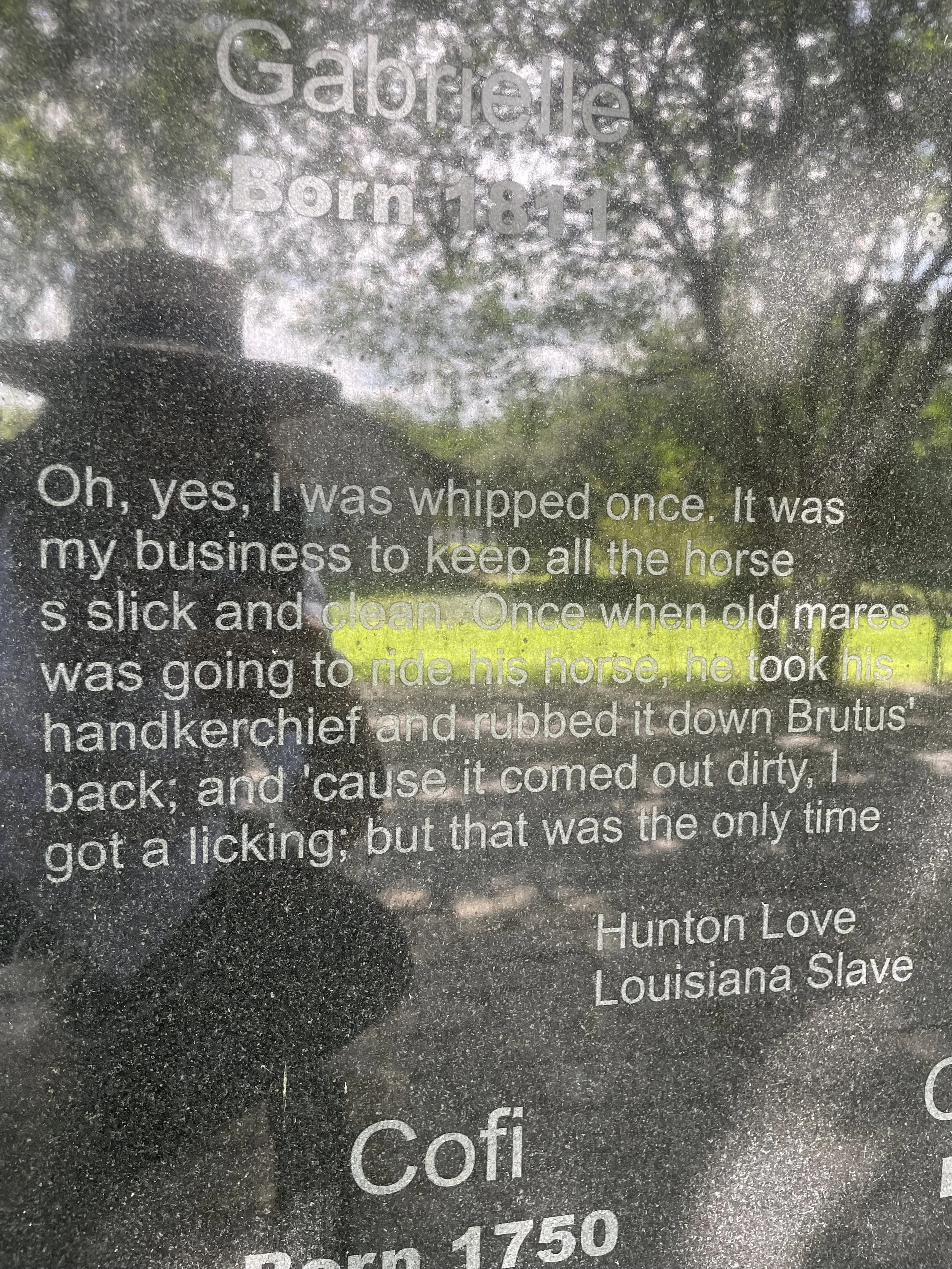 IMG_3109.jpeg