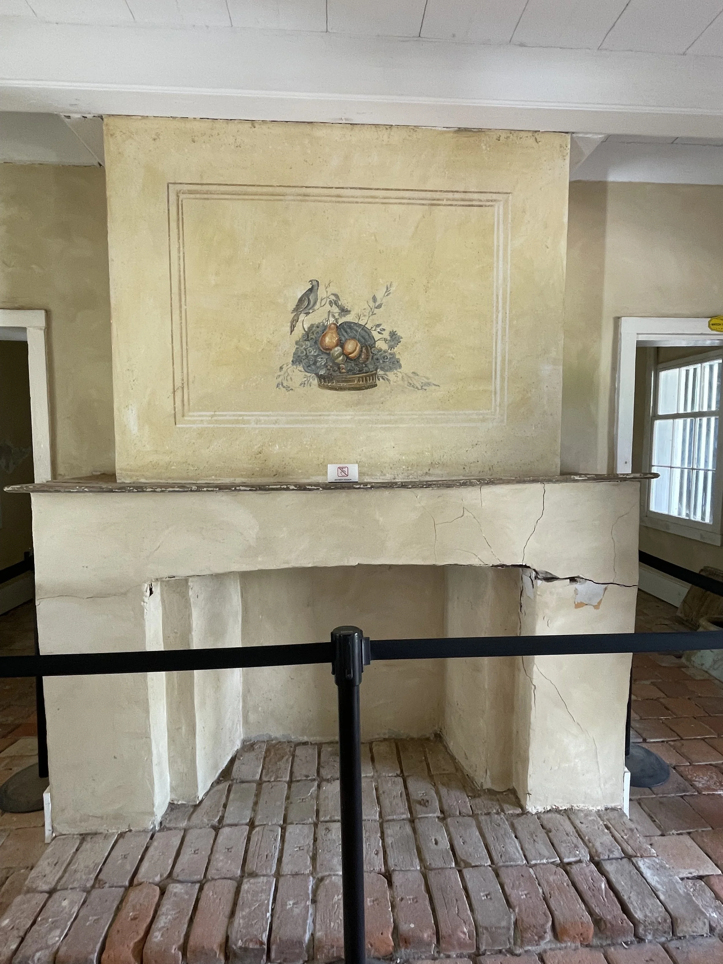 IMG_3171.jpeg