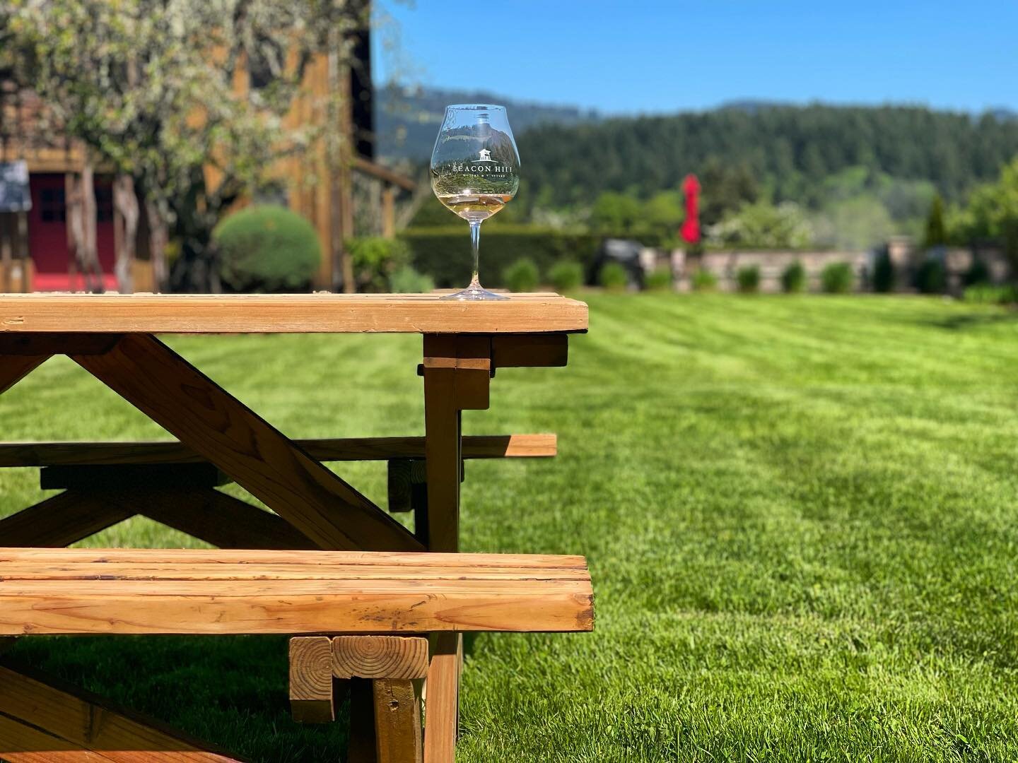 It&rsquo;s happening!! Time to enjoy wine and  sunshine on our lawn. 

Moms we look forward to celebrating you all weekend long! 

Tomorrow we are having a special on our Ros&eacute;, members receive an additional 10% off a case! 

#mothersday #wvwin