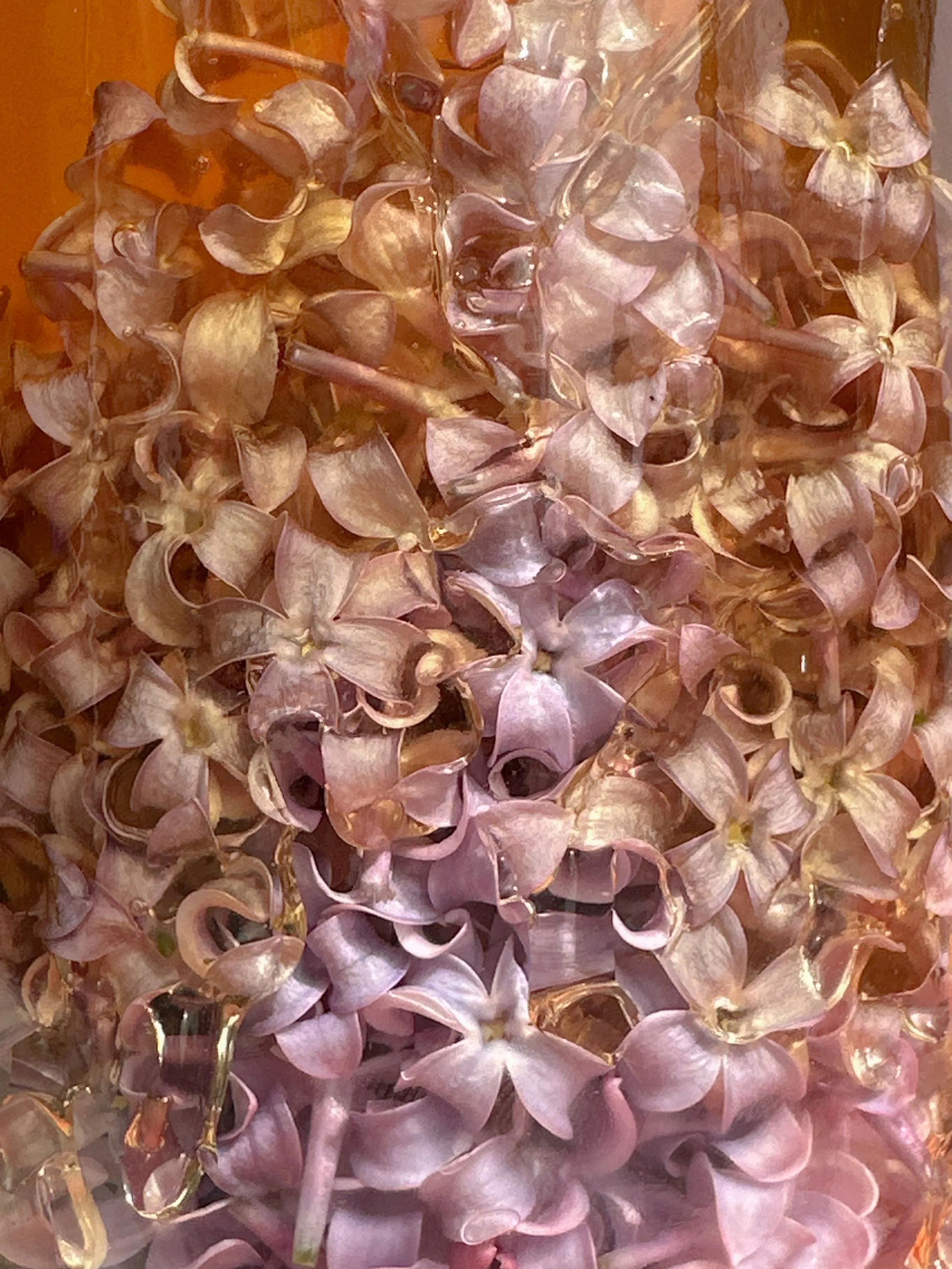 How to: Make Lilac-Infused Honey