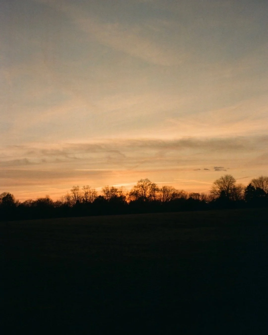 A few days ago I hit the publish button on a Substack piece that has been poked, prodded, changed and revised, and almost entirely deleted in my draft folder for nine months.

I&rsquo;ve wanted to tell my own words to fuck off, but yet, I release the