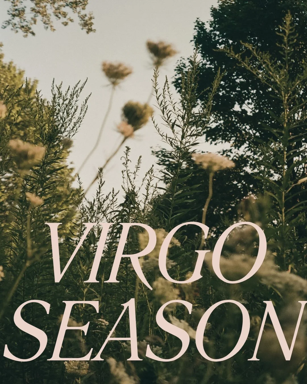 Offering up this perfect Virgo Season lineup ♍️ to celebrate the best time of year and my 42nd trip around the sun.

BIRTHDAY FLASH SALE 🌵 24% off everything with promo code: 42BDAY (sale ends Sunday, one use only)