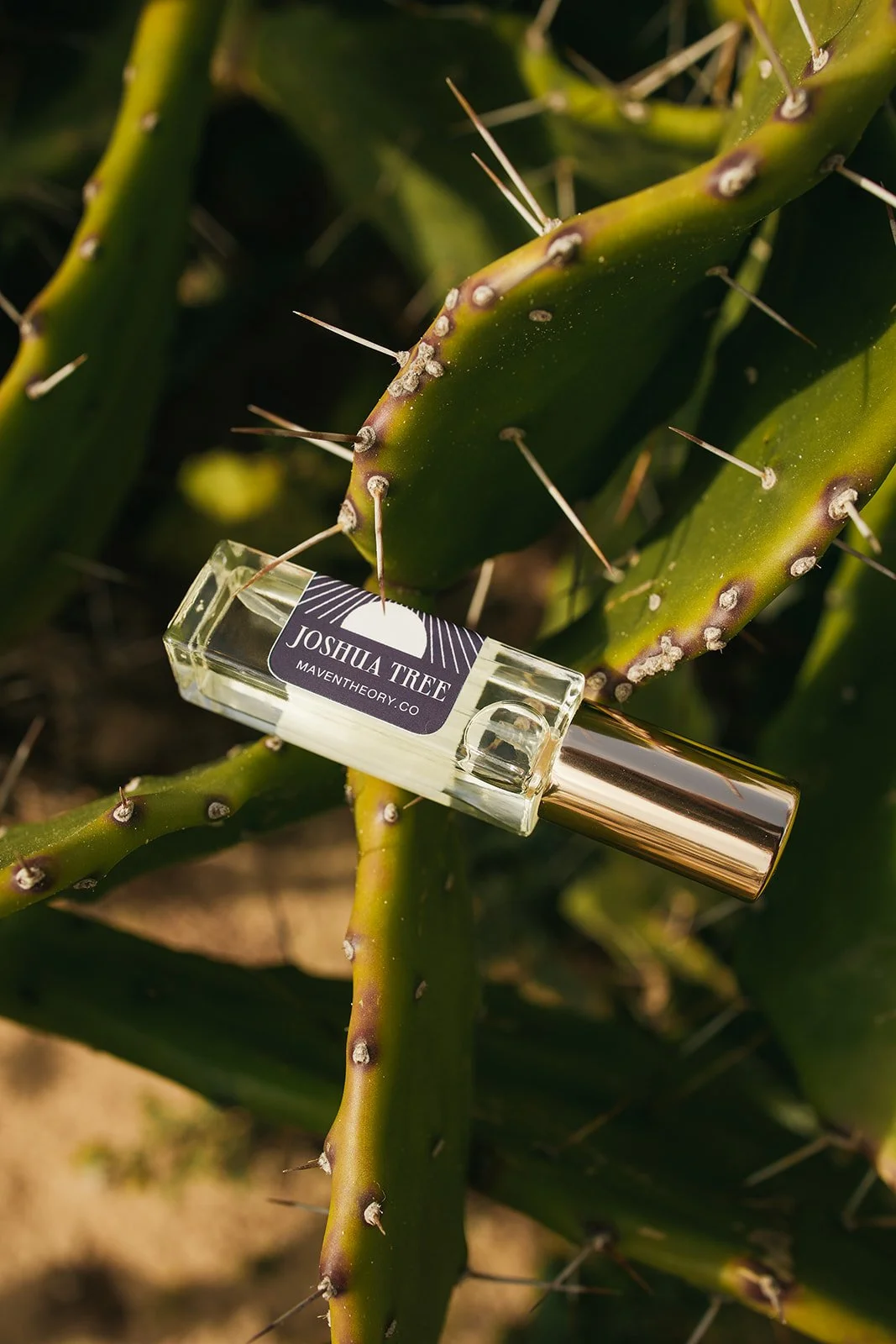 joshua tree travel perfume on desert cactus.jpg
