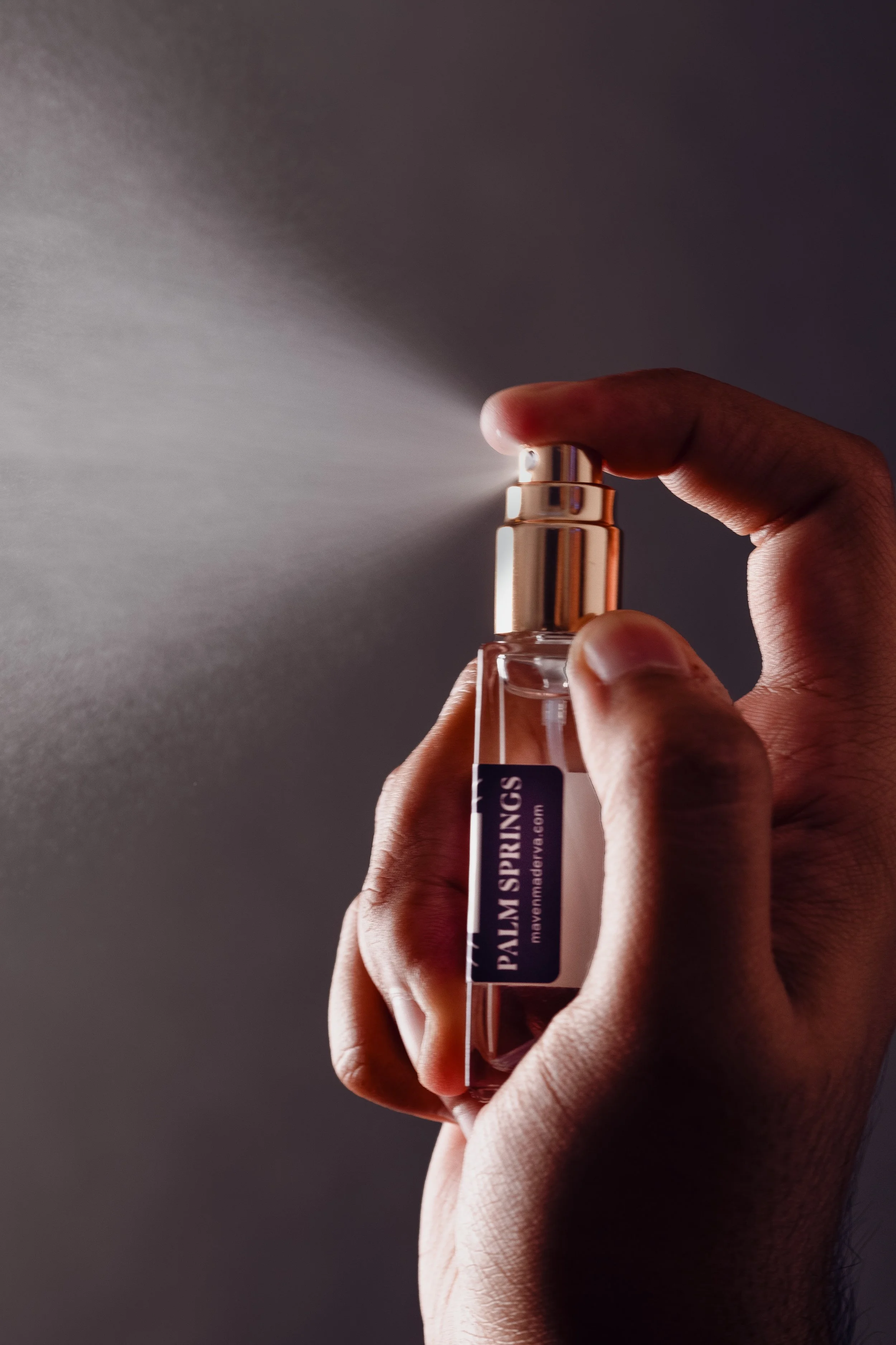 mini mist Palm Springs spraying.jpg