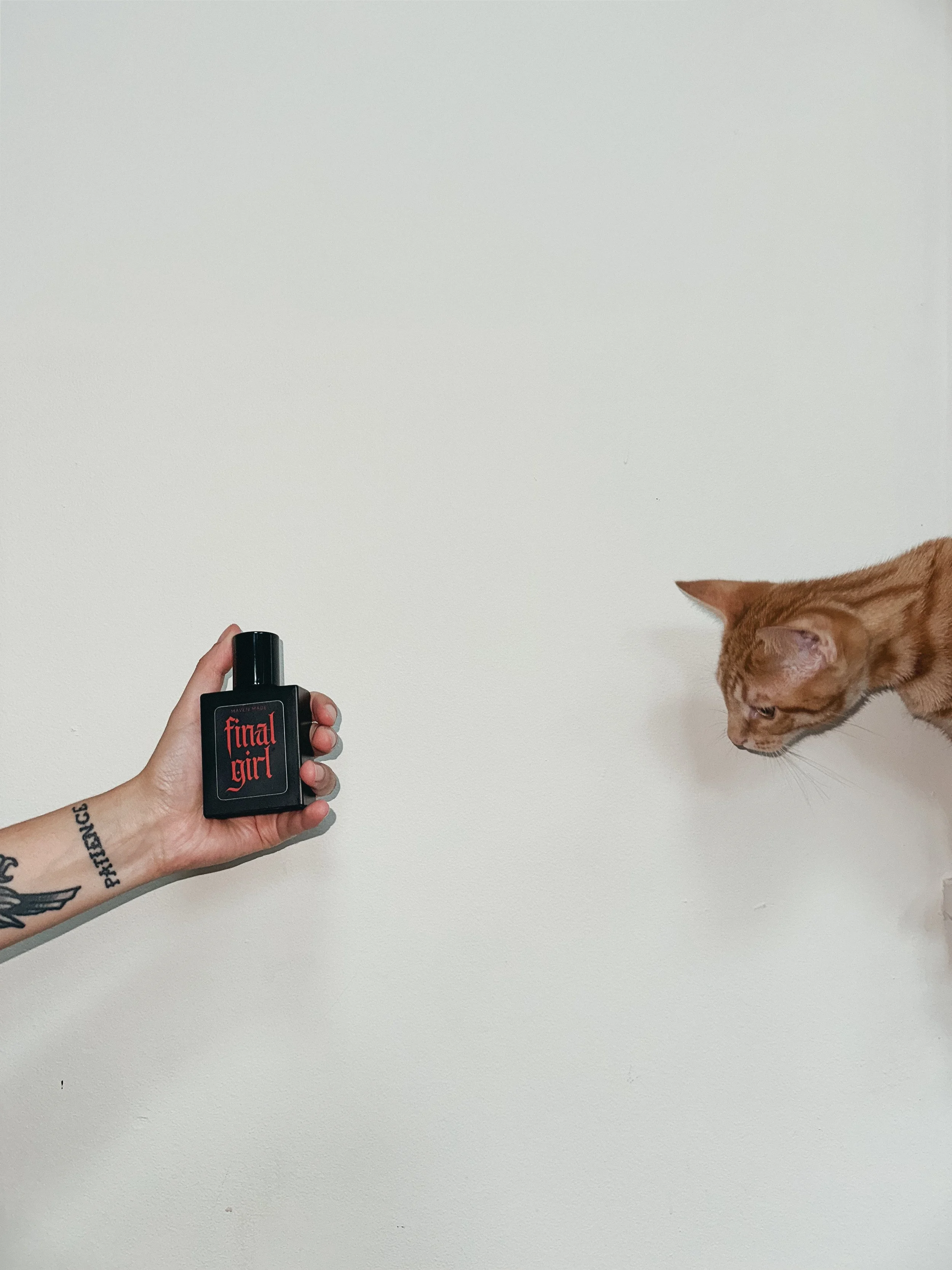 Final Girl Perfume in hand with tattoos and orange tabby kitten.JPG