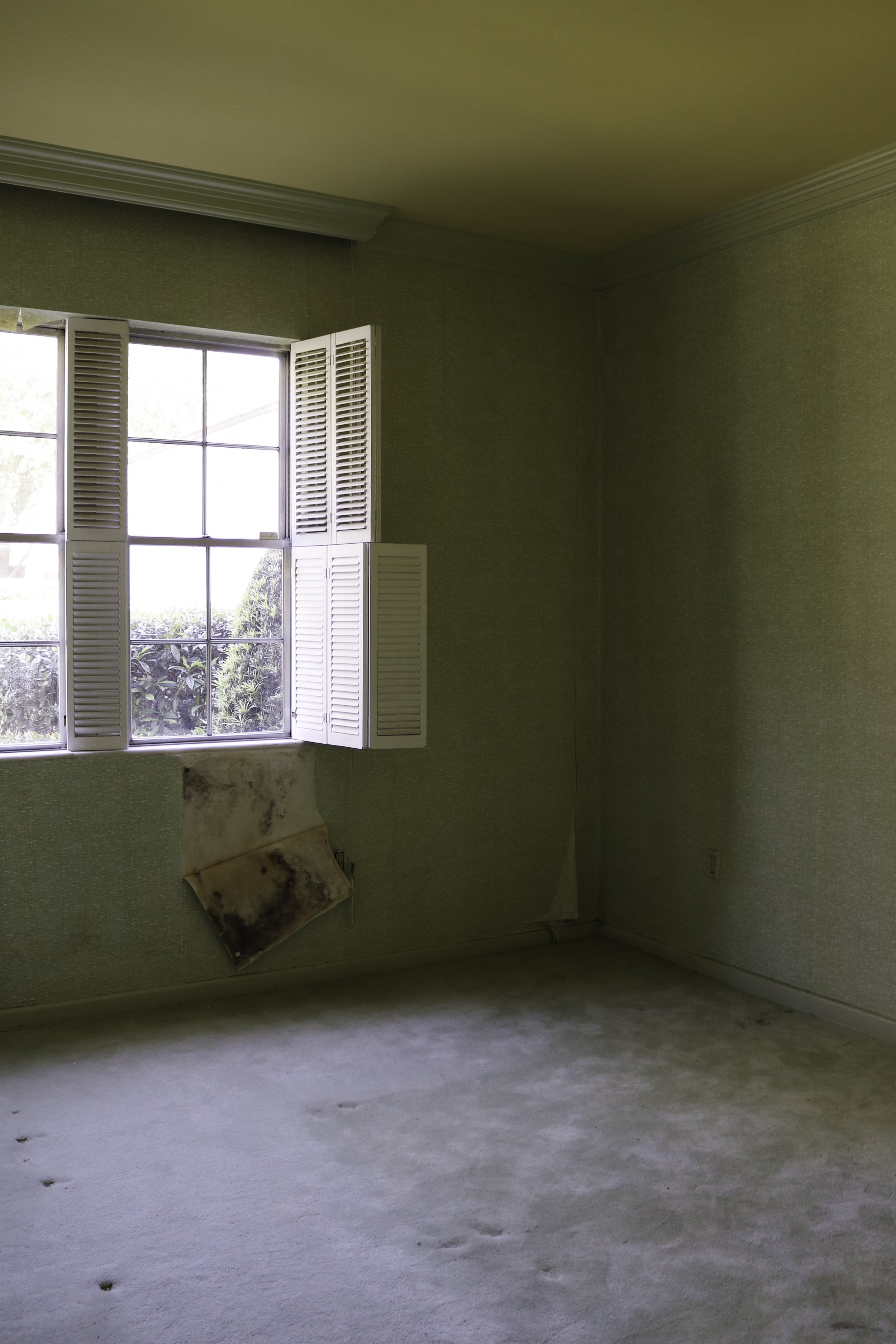 CarterWPHouse-67.jpg