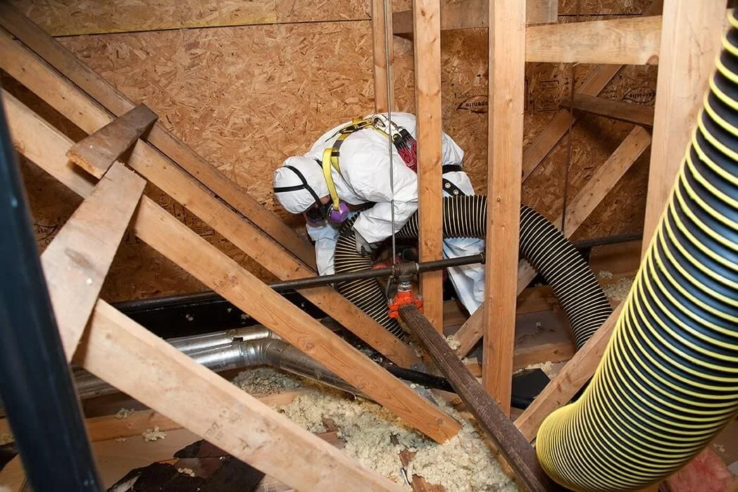 insulation+removal+winnipeg
