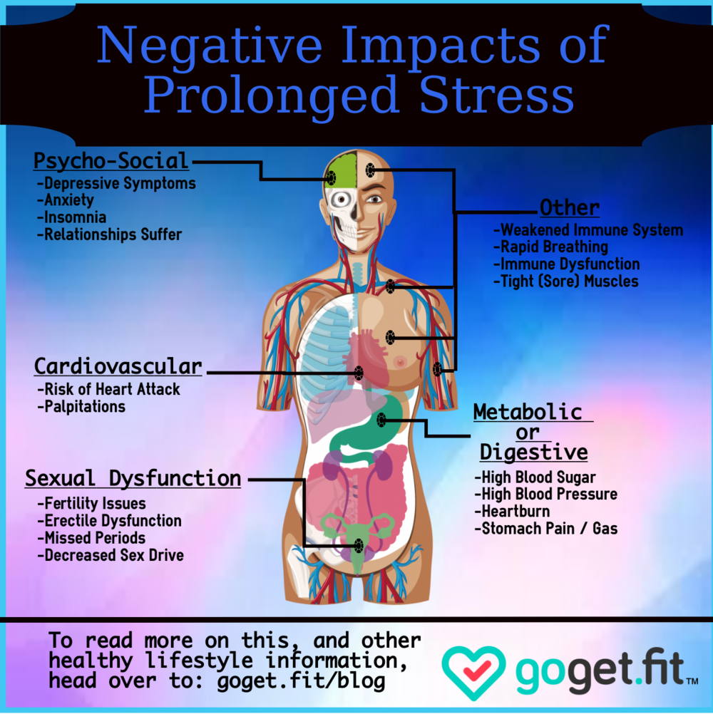 Stress+Effects.png