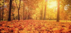Careful of the changing seasons