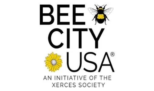 Bee City Buzz: 