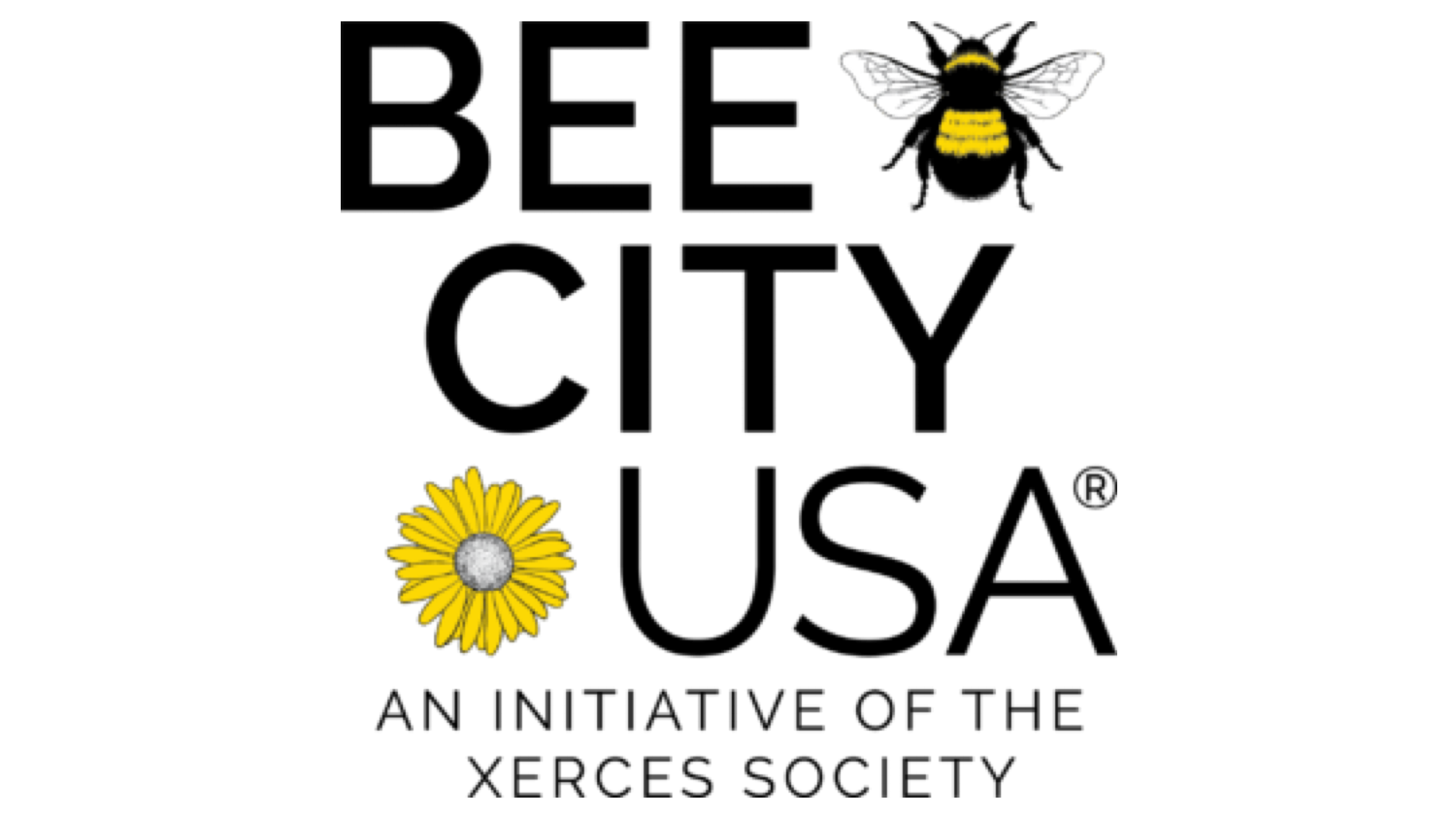 BeeCity Buzz: Want to Water Less and Save the Bees? Try Native Plants!
