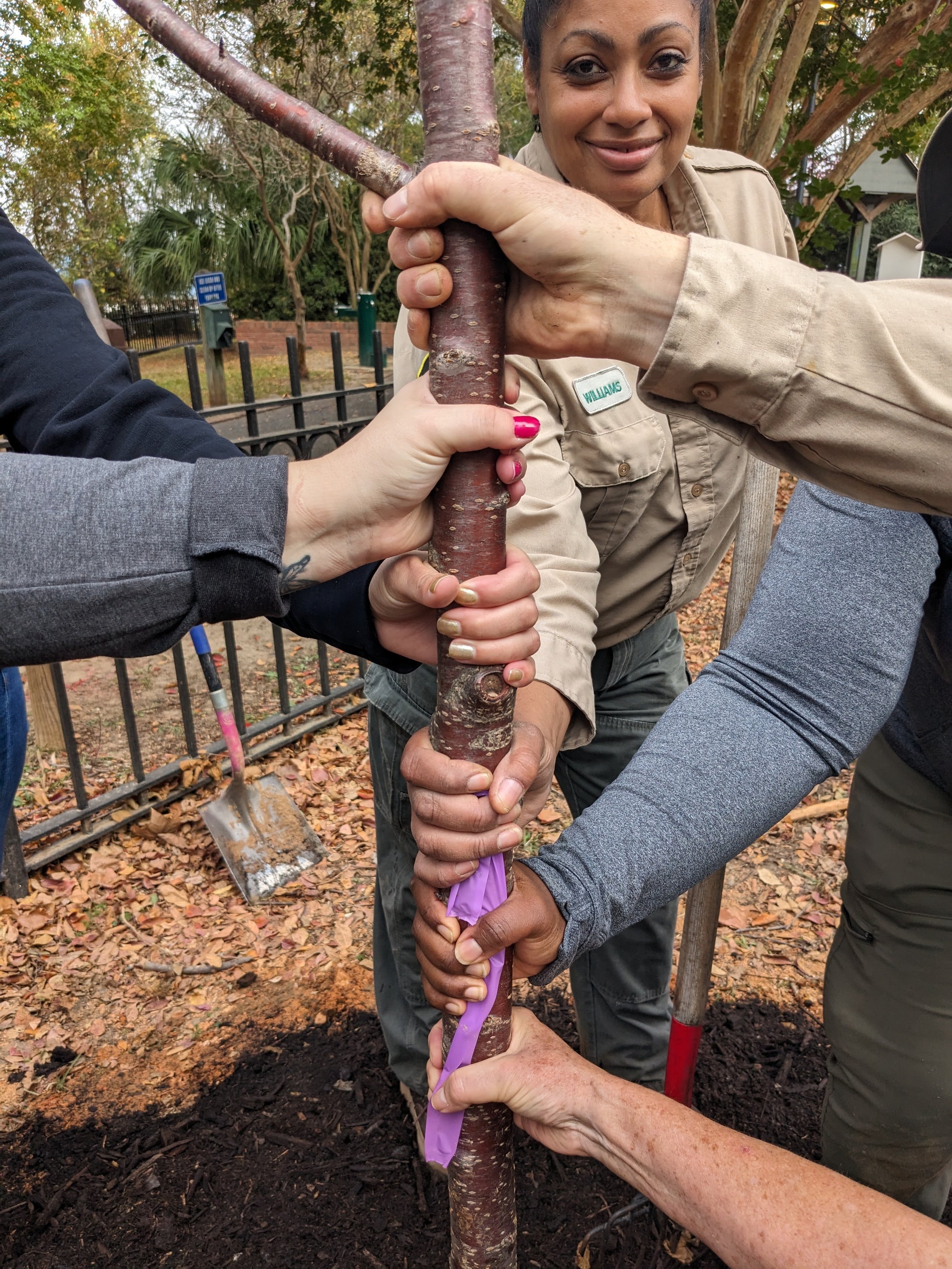 Planting 14.jpg