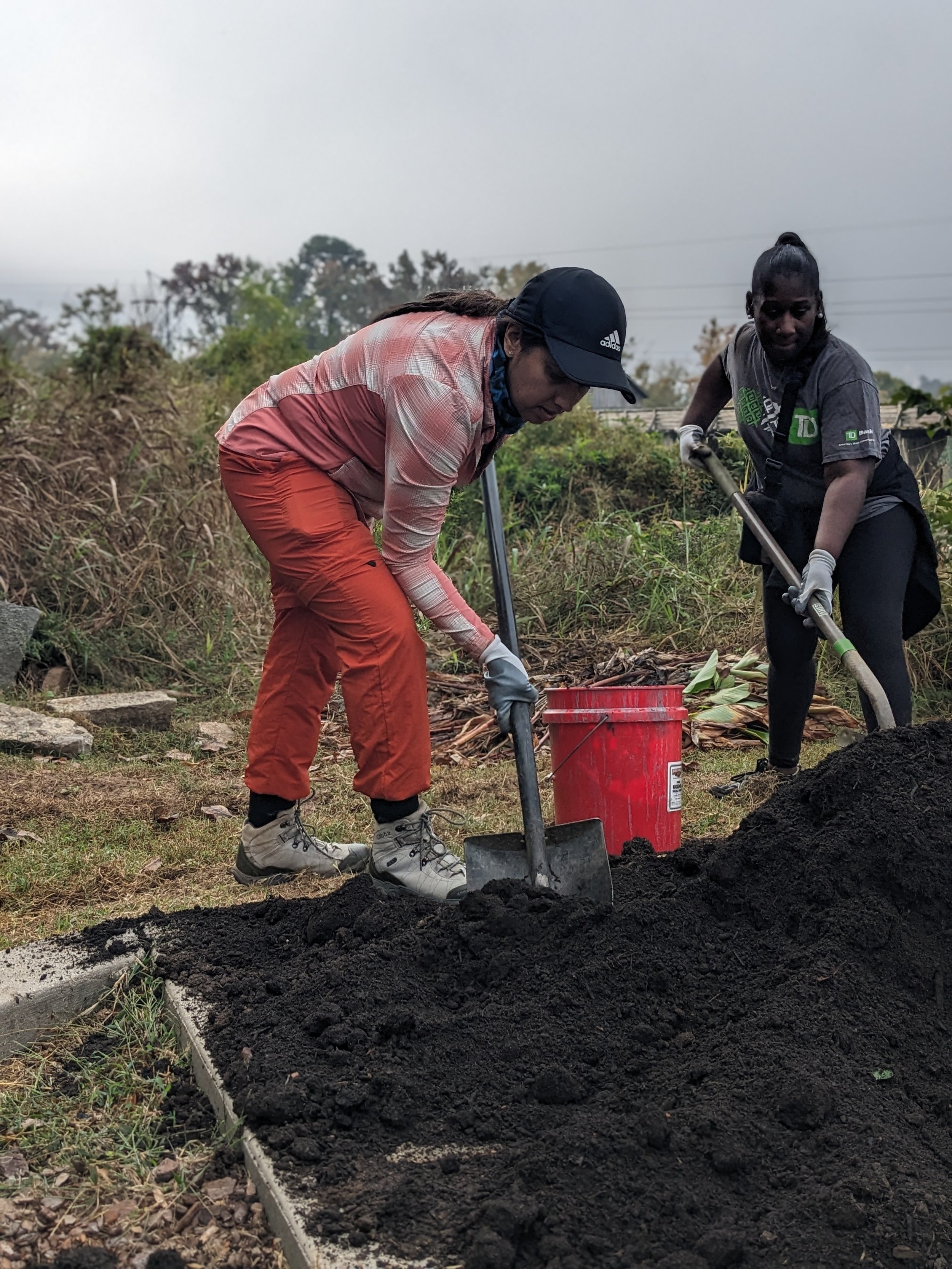 Planting 19.jpg