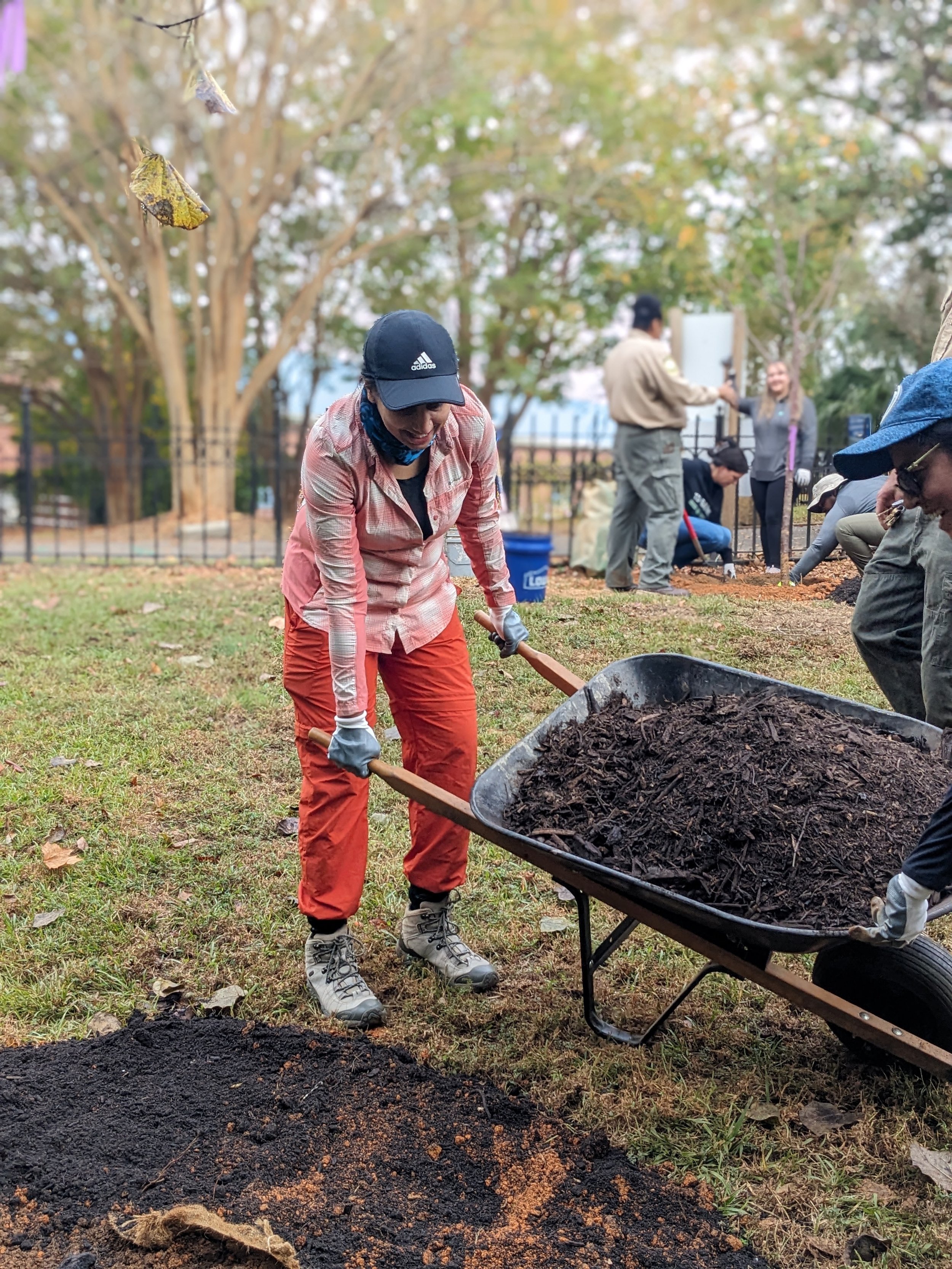 Planting 11.jpg