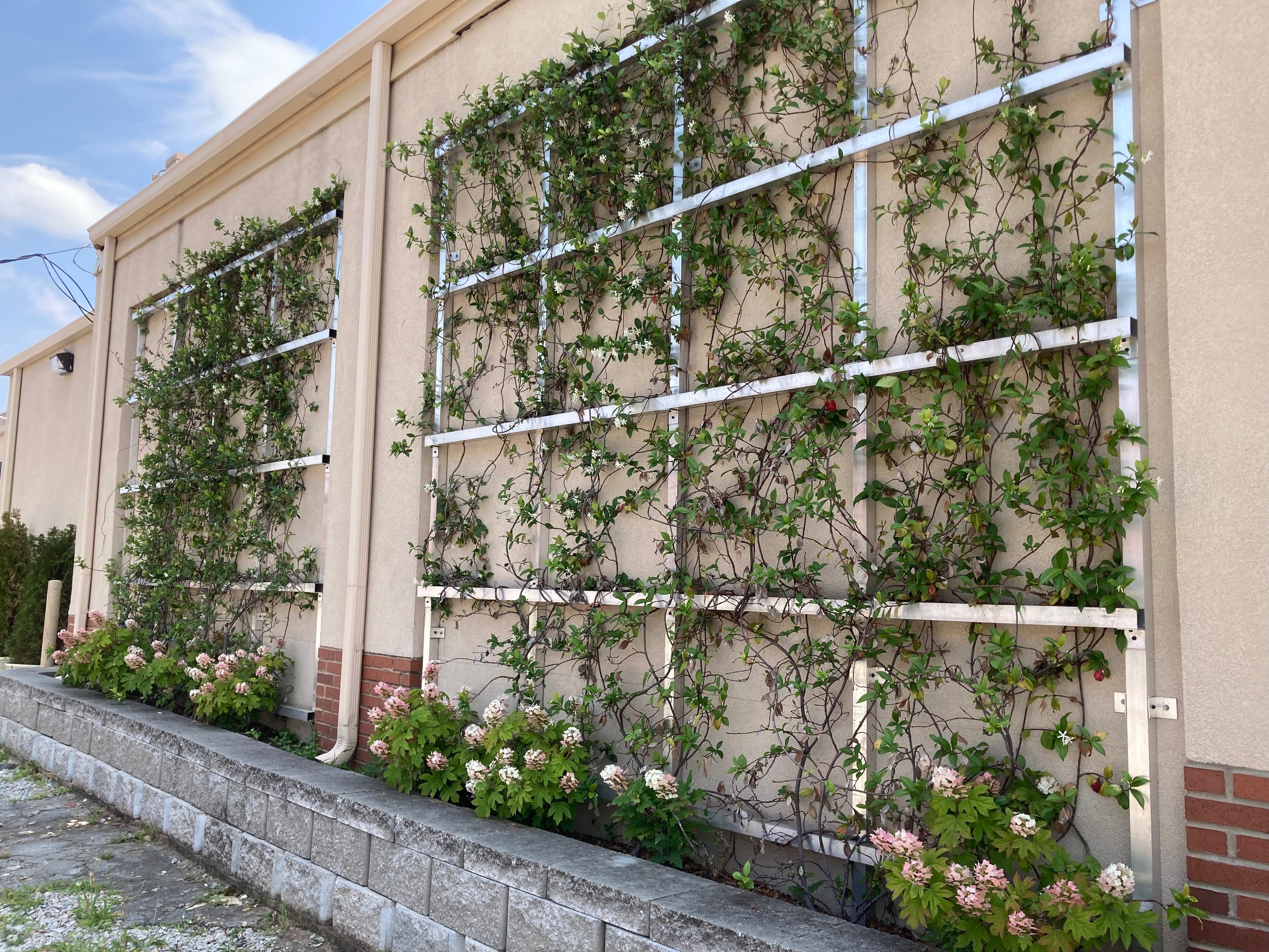 2022 Columbia Music Festival Association