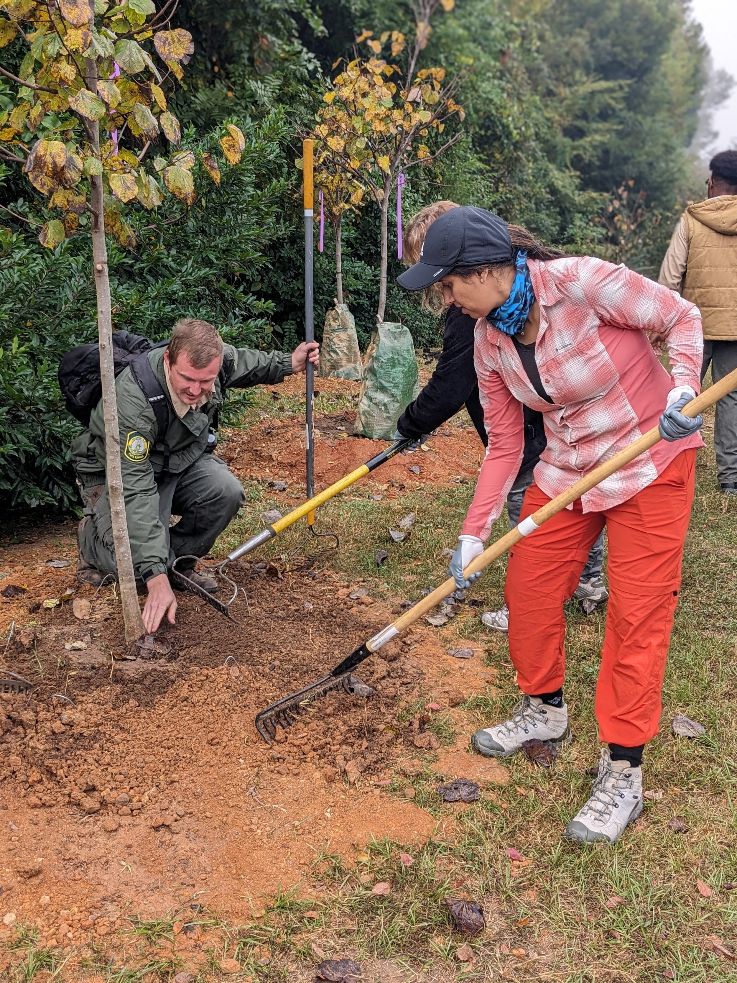 Planting 2.jpg