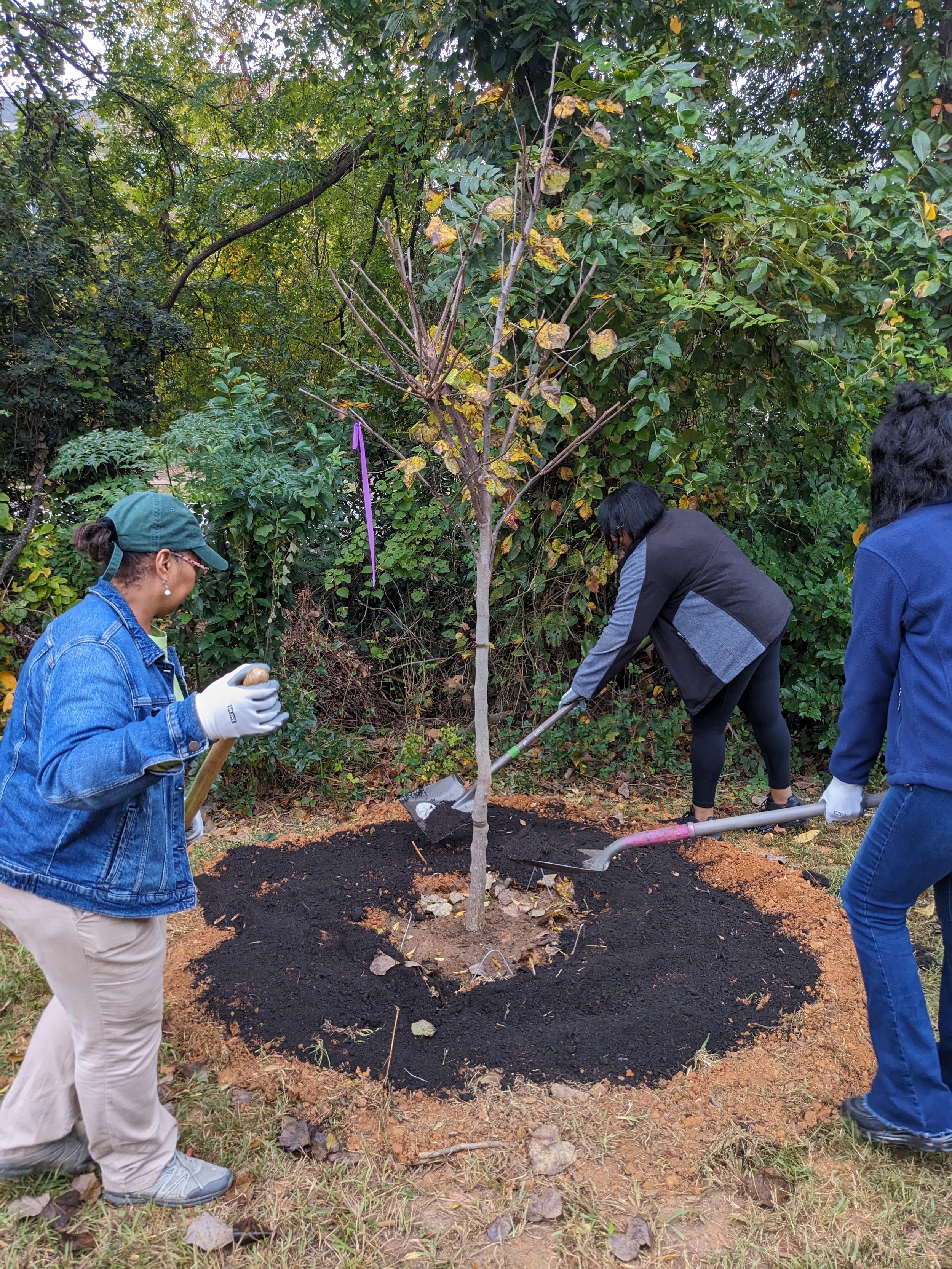 Planting 9.jpg