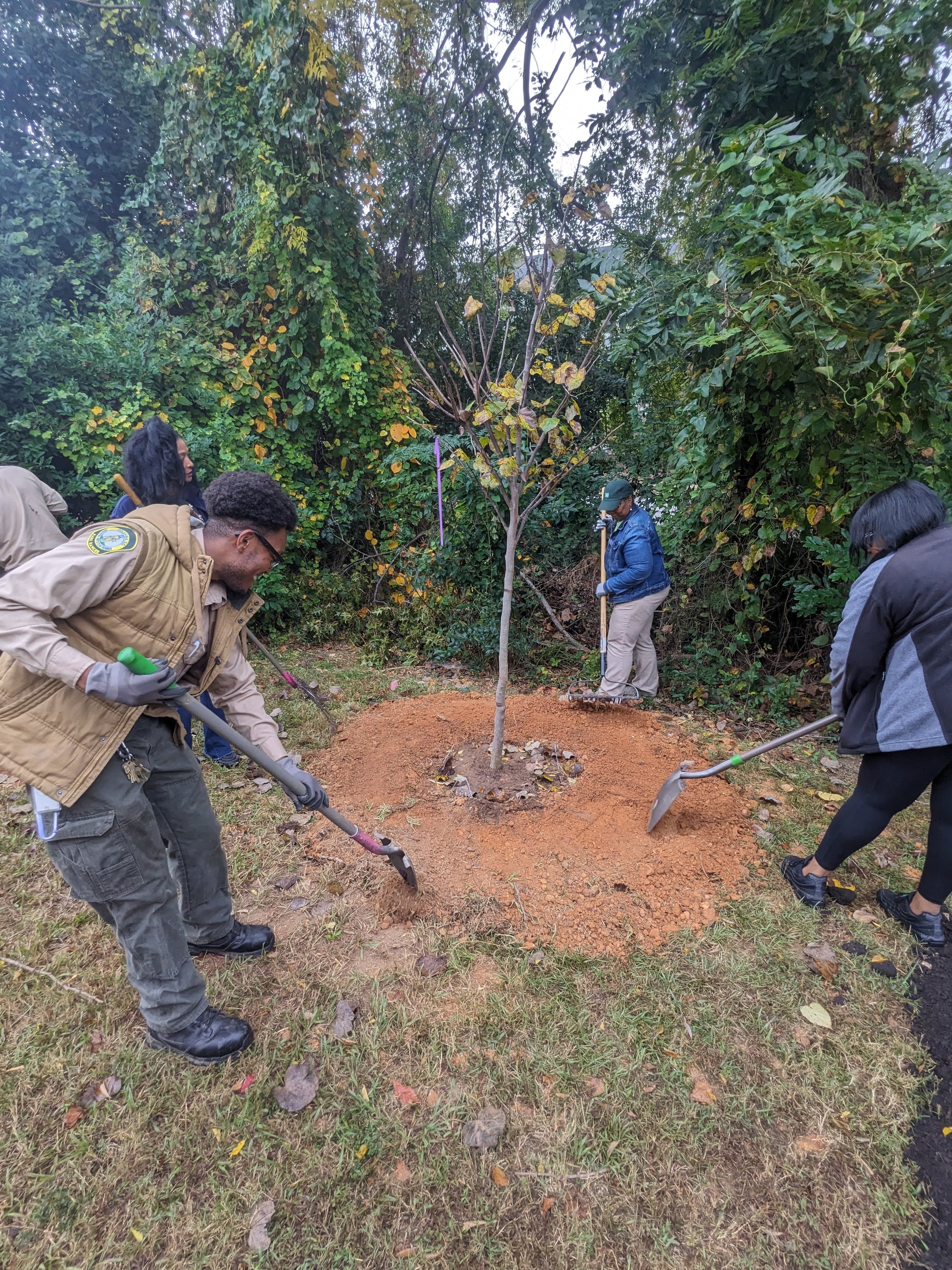 Planting 5.jpg