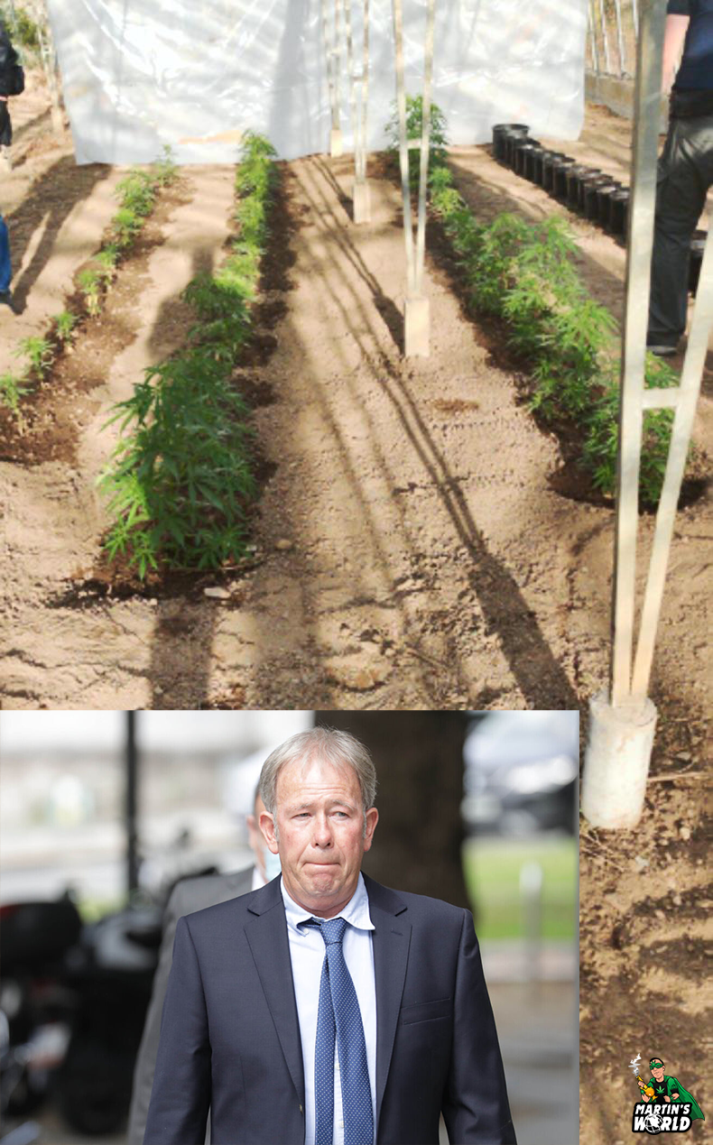 Tony Keogh and the Cannabis plants found growing on his property last year
