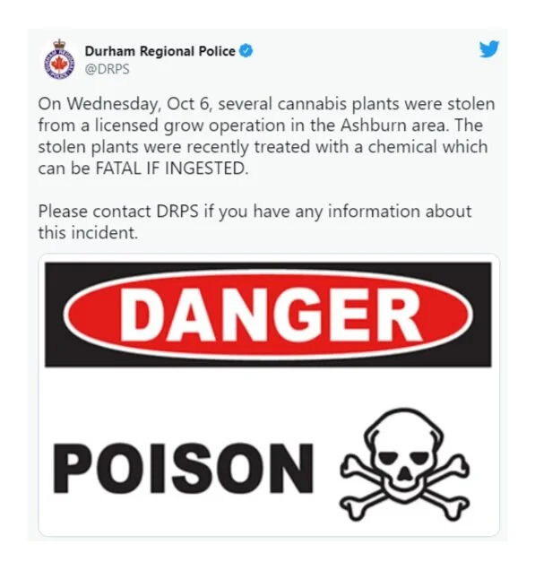 Warning issued by Durham police about potentially poisonous Cannabis stolen from licenced grow in Ashburn