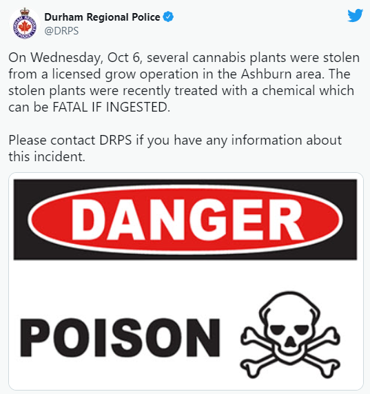 Strange warning issued by Durham police after thieves steal Cannabis plants from a licenced grow in Ashburn