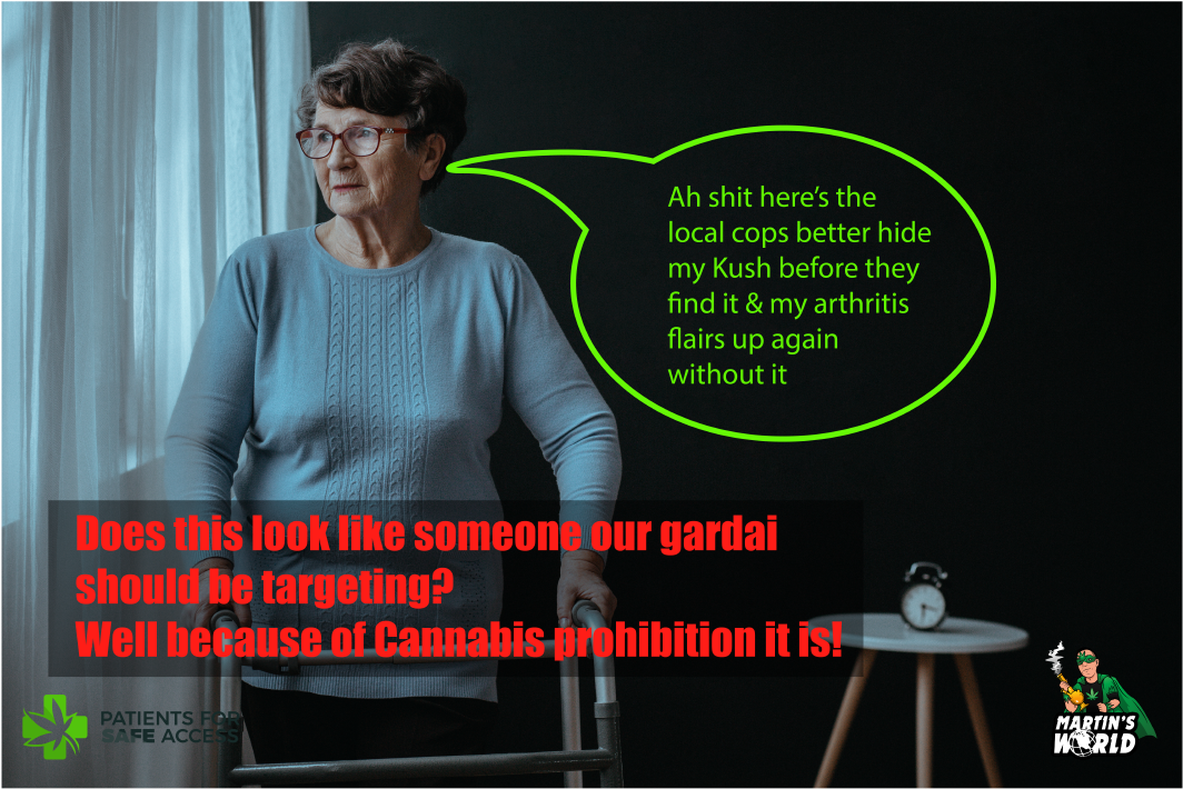 Quiet spoken lady on disability who volunteered at animal rescue charity &amp; self medicated with Cannabis for pain sent to prison for 60 days over 2.5grams of Cannabis