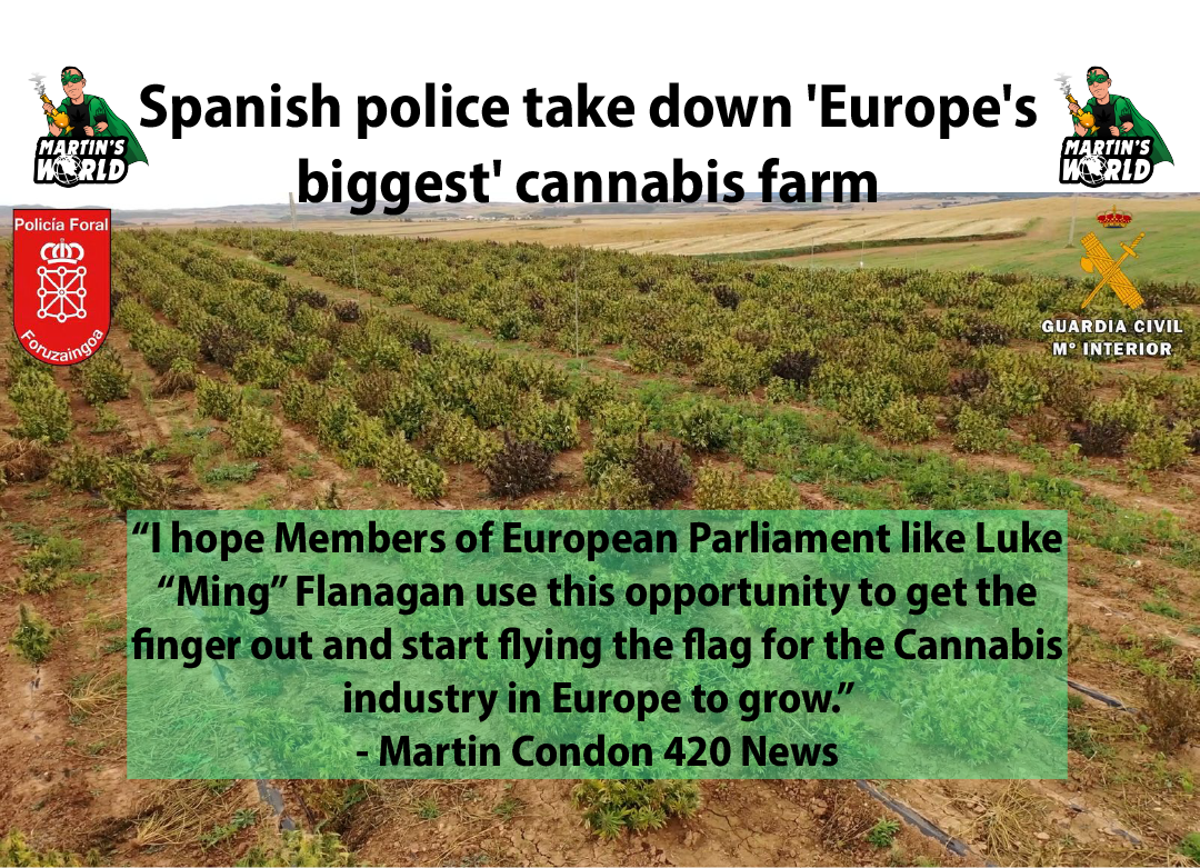 Spanish police take down 'Europe's biggest' cannabis farm
