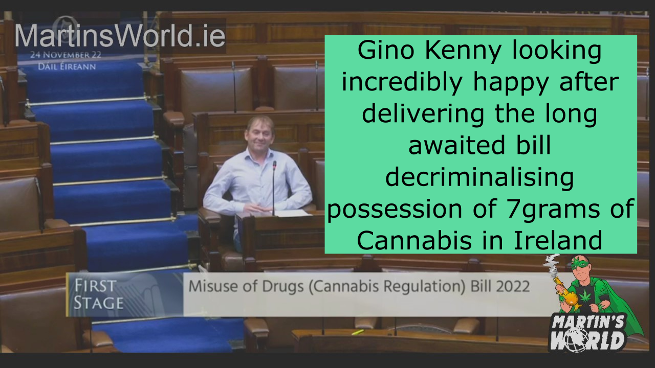 Ireland’s Cannabis Decriminalisation bill moves through stage 1. What’s next? 