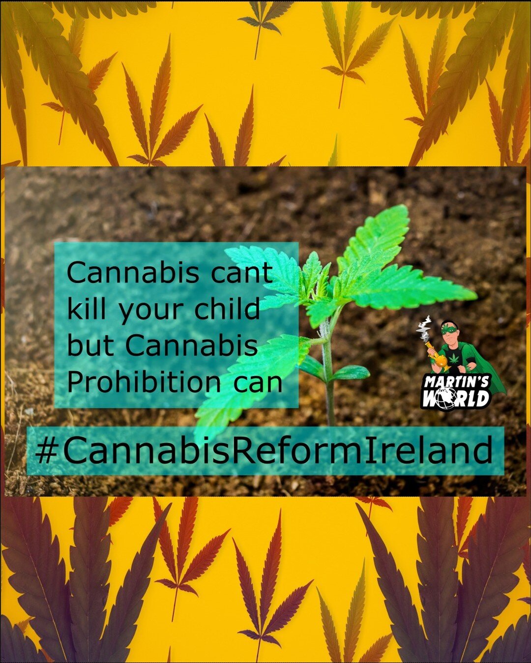 Its only a matter of time before someone's child dies here in Ireland due to Cannabis Prohibition.
(New Blog post, link in BIO)
The UK and European countries have already seen a number of deaths linked to the consumption of Synthetic Cannabinoids, wh