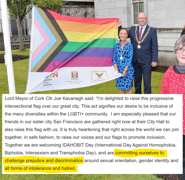 I was in a vulnerable state looking for help but Cllr. Joe Kavanagh decided to support those mocking me 