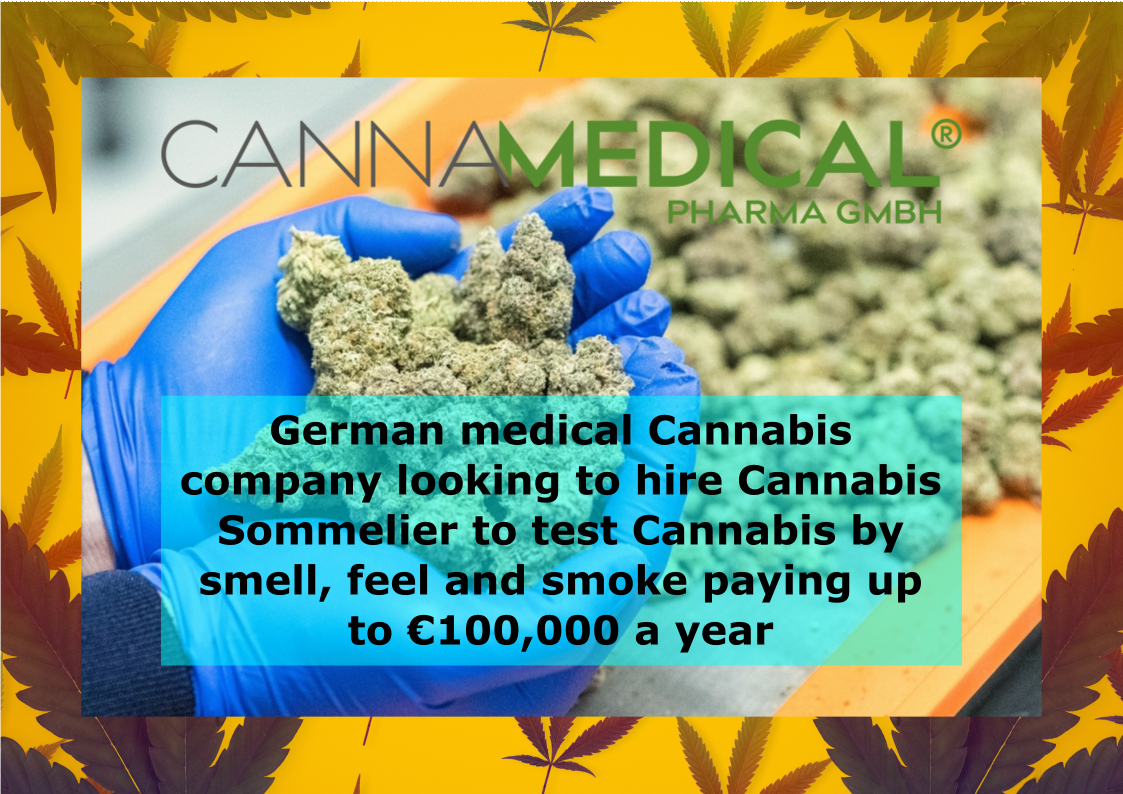 German company offering €100,000 a year for cannabis sommelier to test the quality of cannabis