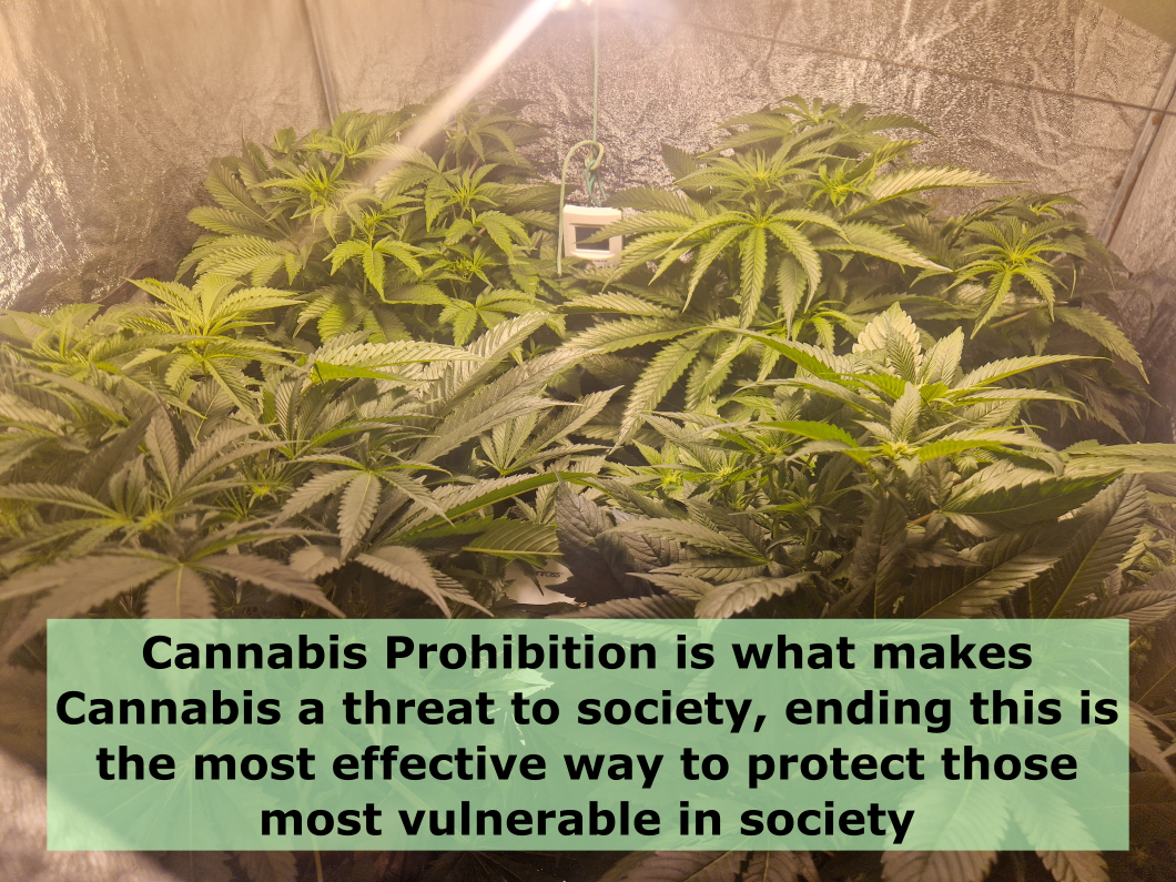 Cannabis Prohibition Enables Modern Day Slavery in the UK &amp; Ireland