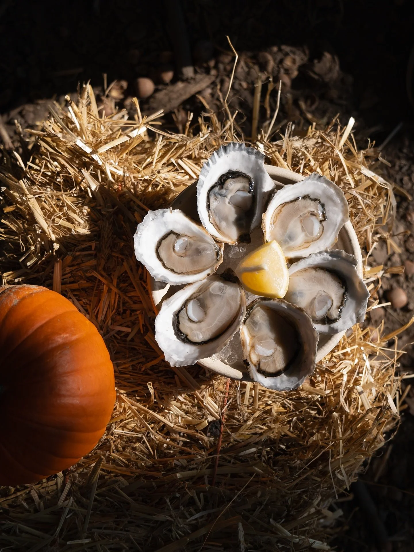 Fall feels &amp; peak oyster season 🎃🦪 A great time to savor a crisp and briny coastal treat! 🍂🦪
