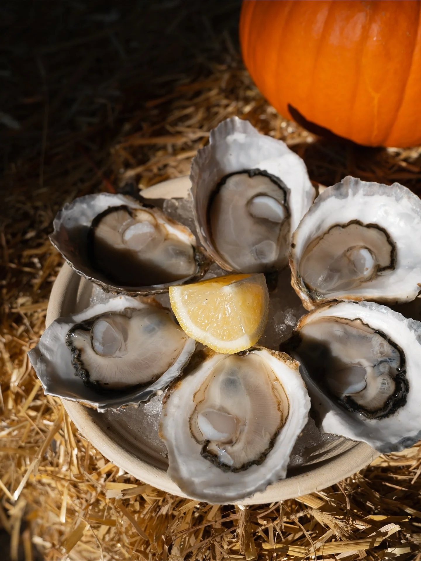 🎃 Happy Halloween! 👻 Come see us at @slowfoxfarm 🦊 for all your favorite coastal treats! 

#halloween #oysters #popup